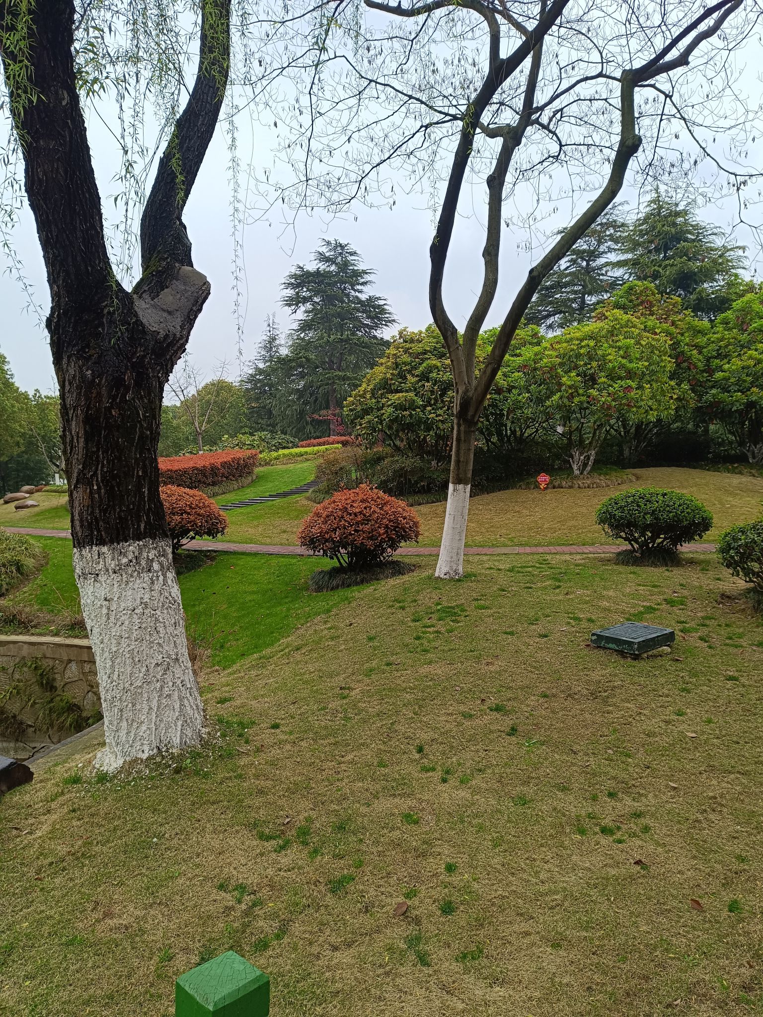 沧屿园