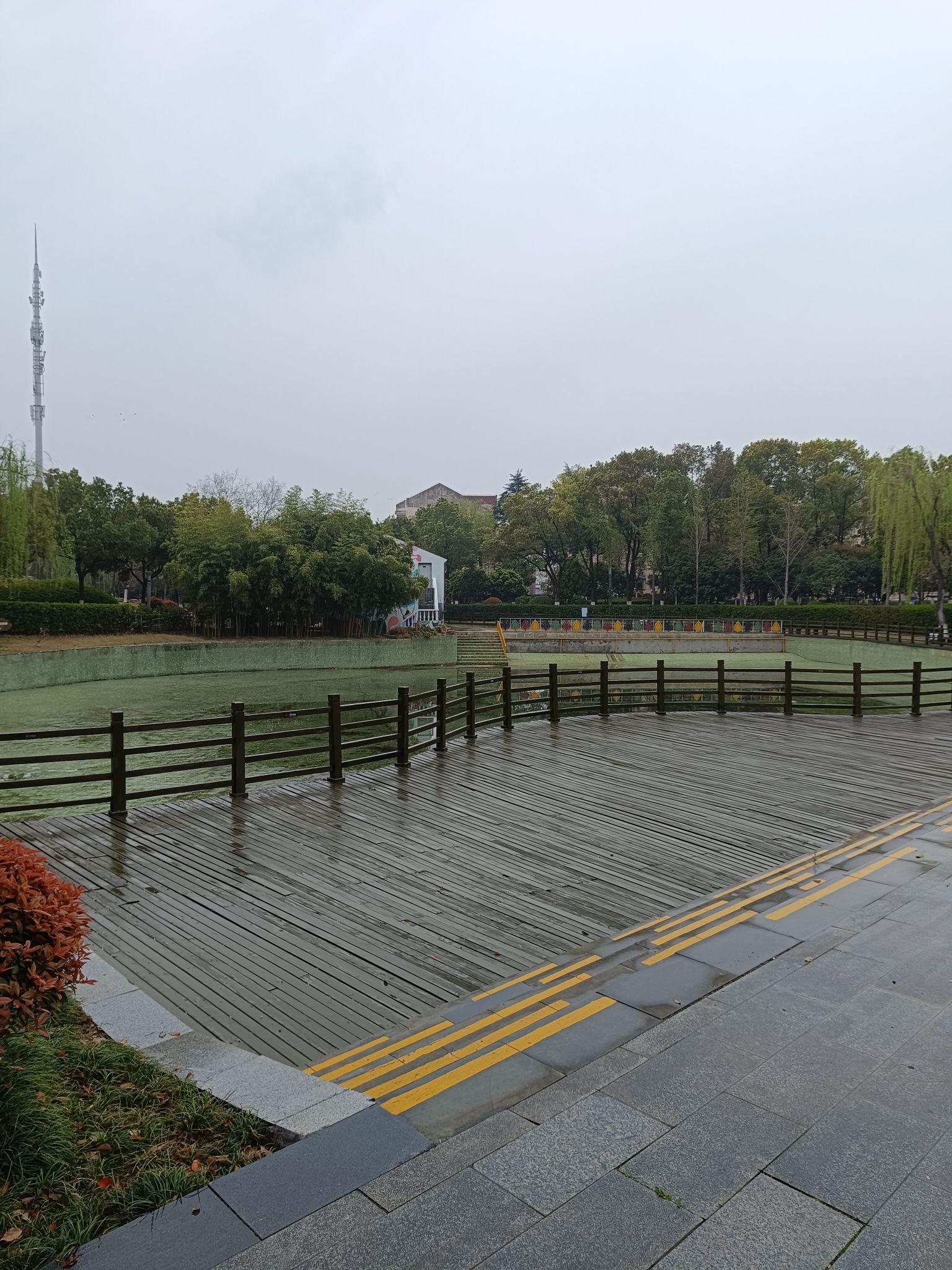 沧屿园旅行图片