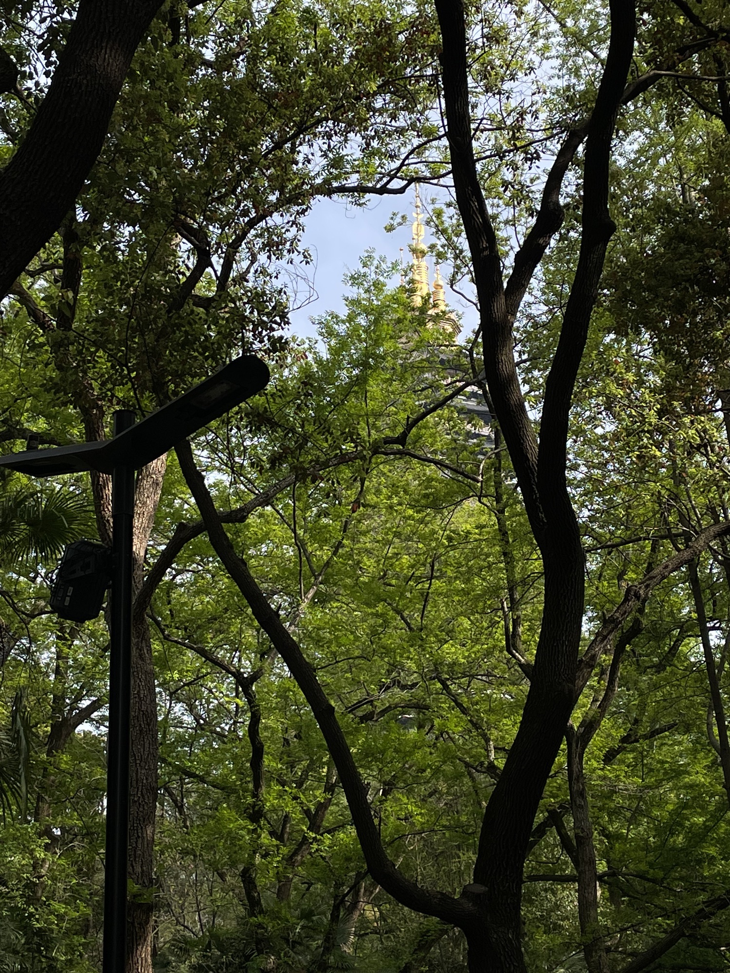 红梅公园
