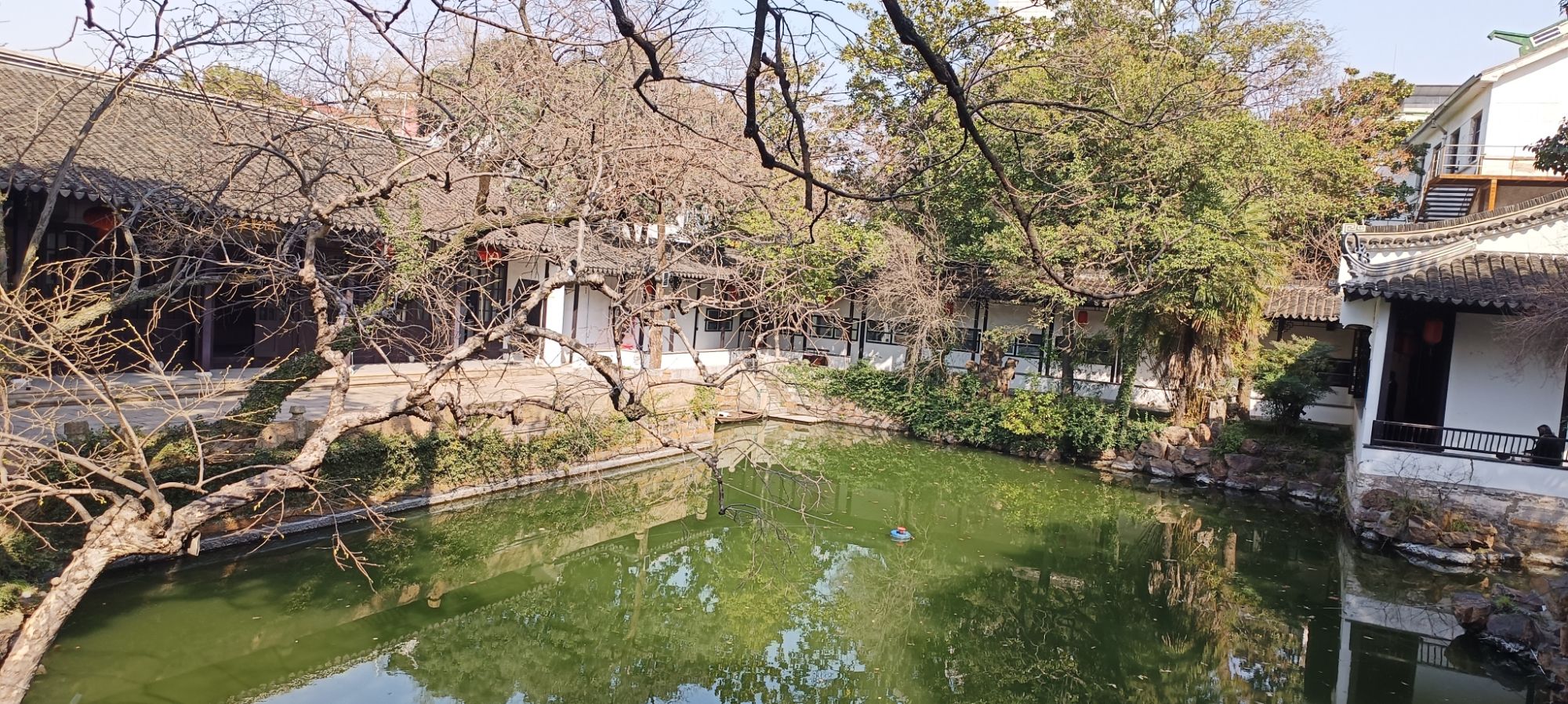 近园旅行图片