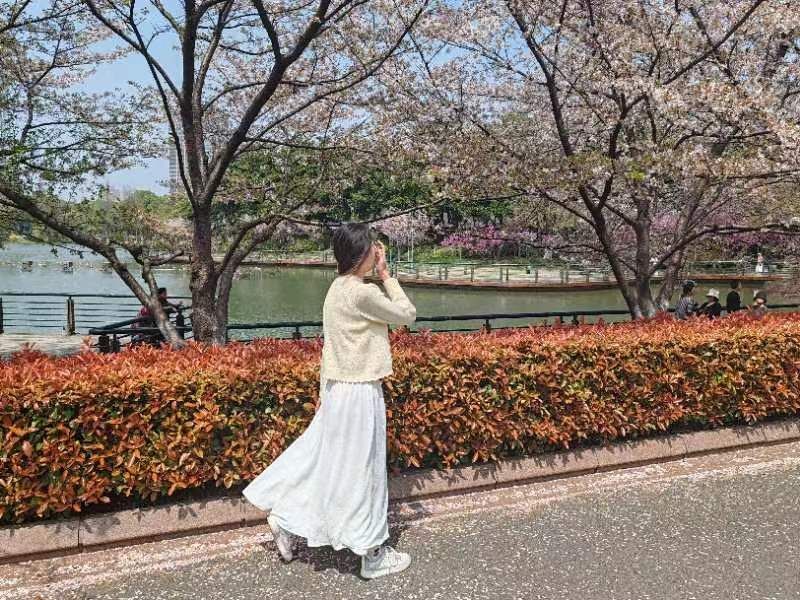 武进新天地公园旅行图片