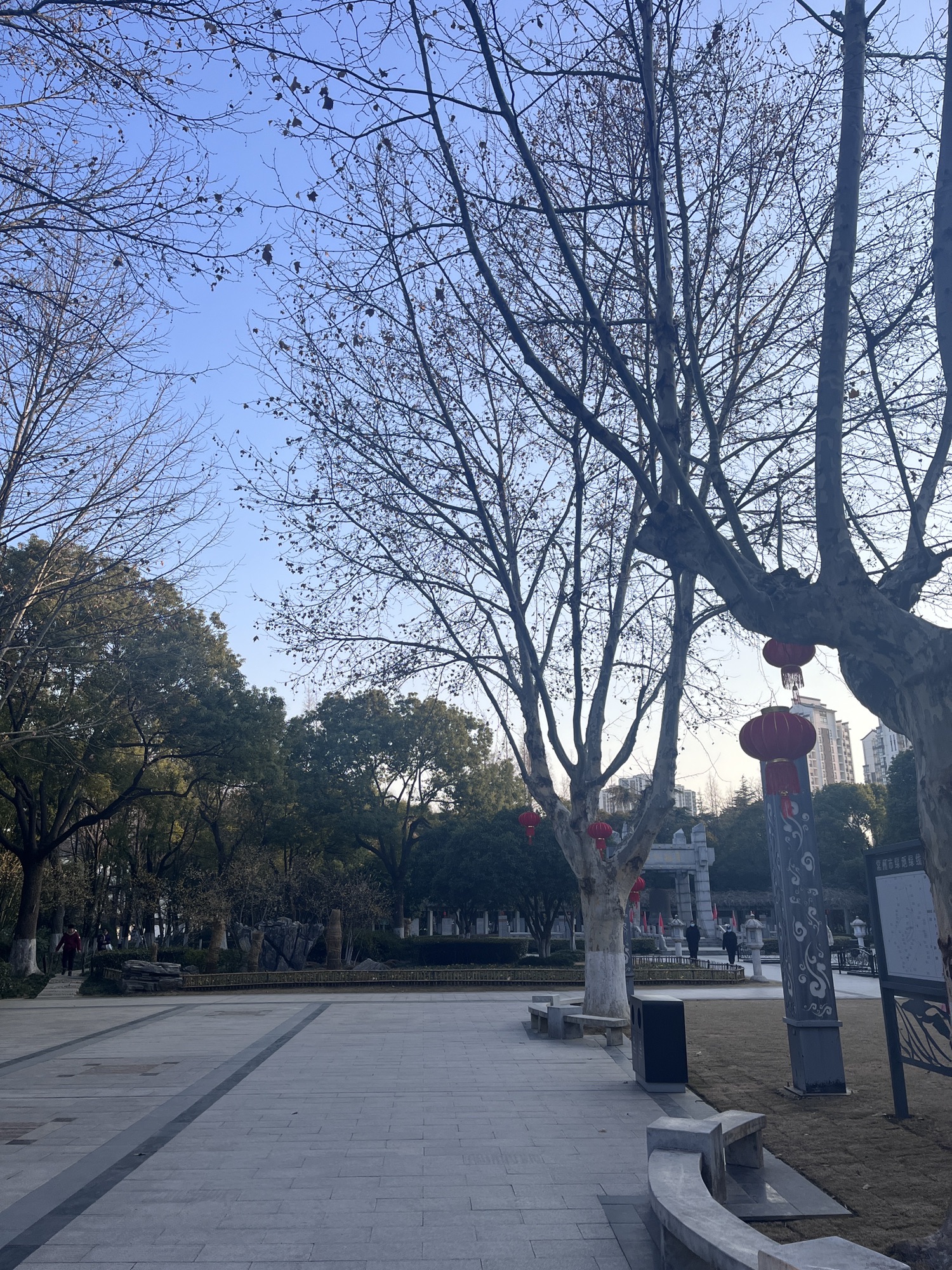 华罗庚公园旅行图片