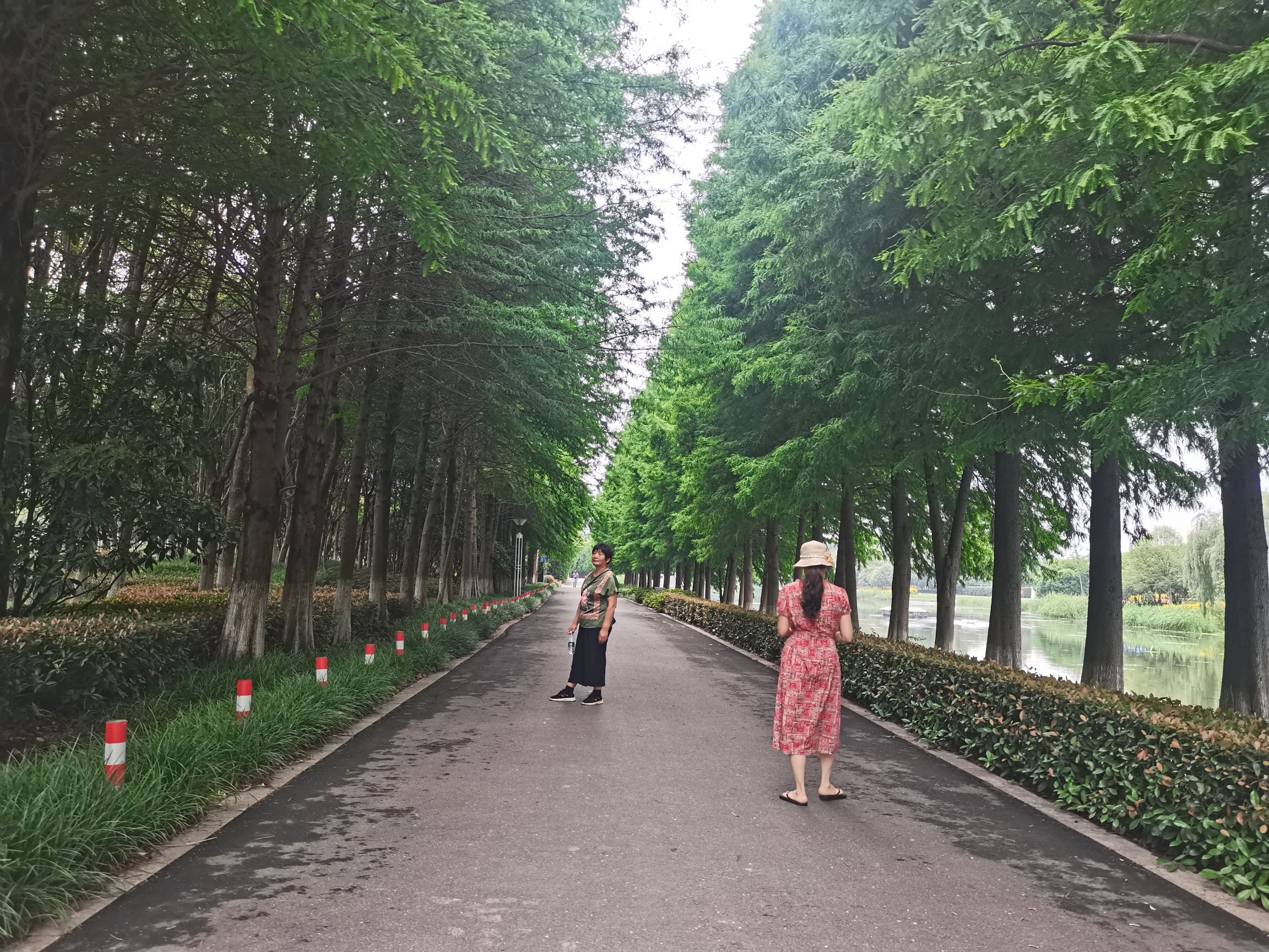 南洲湿地公园