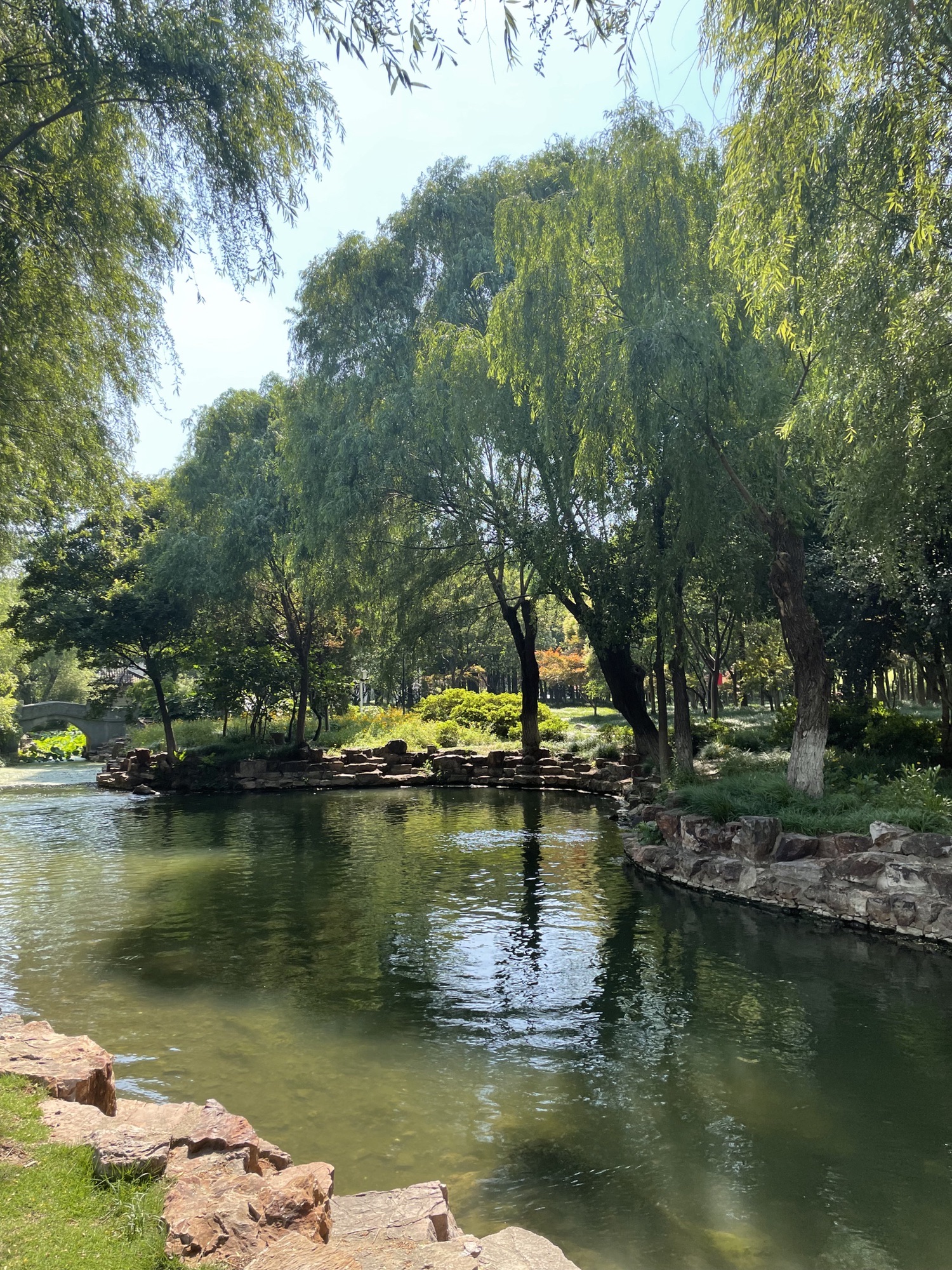 南洲湿地公园旅行图片