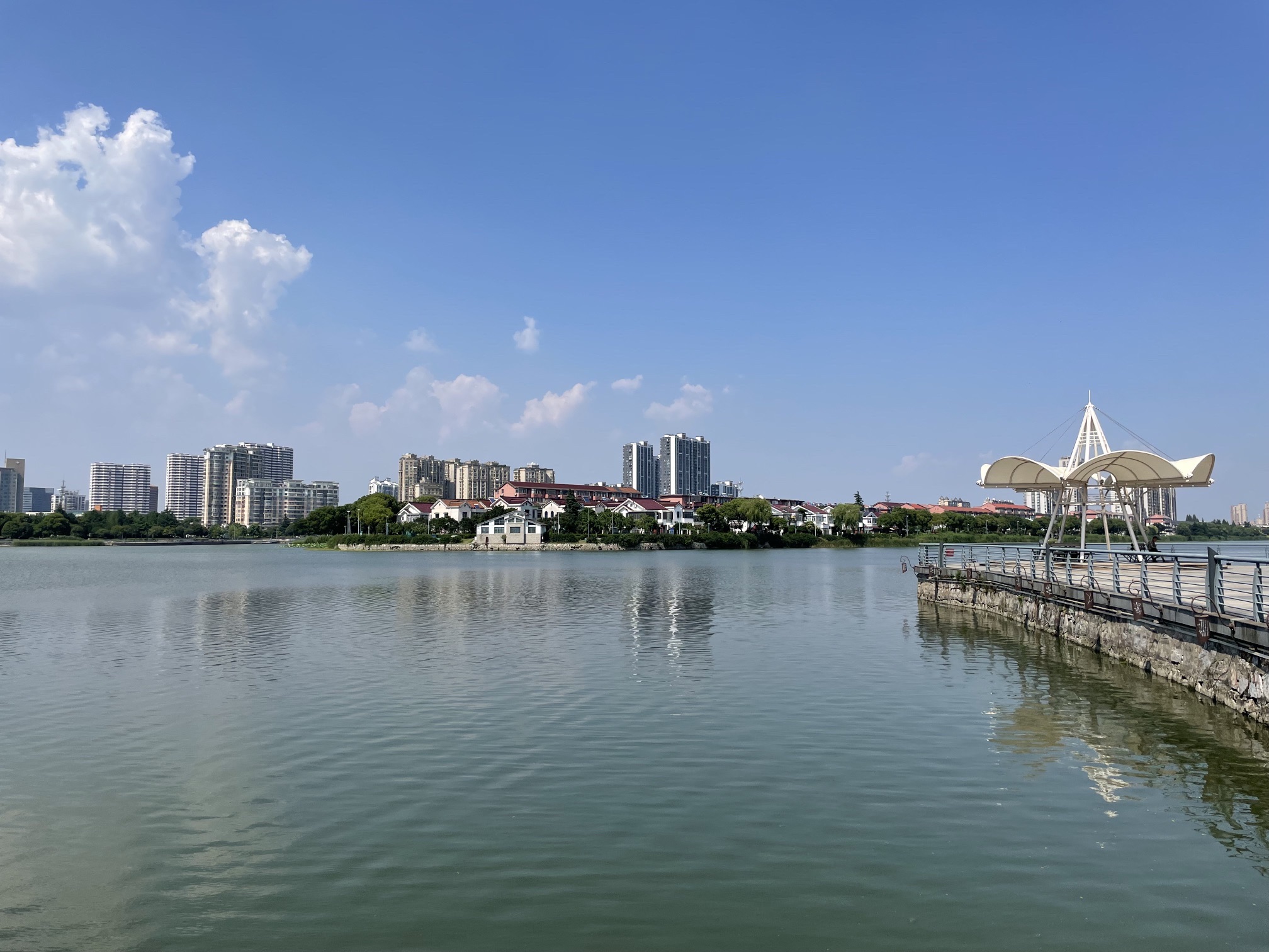 南洲湿地公园旅行图片