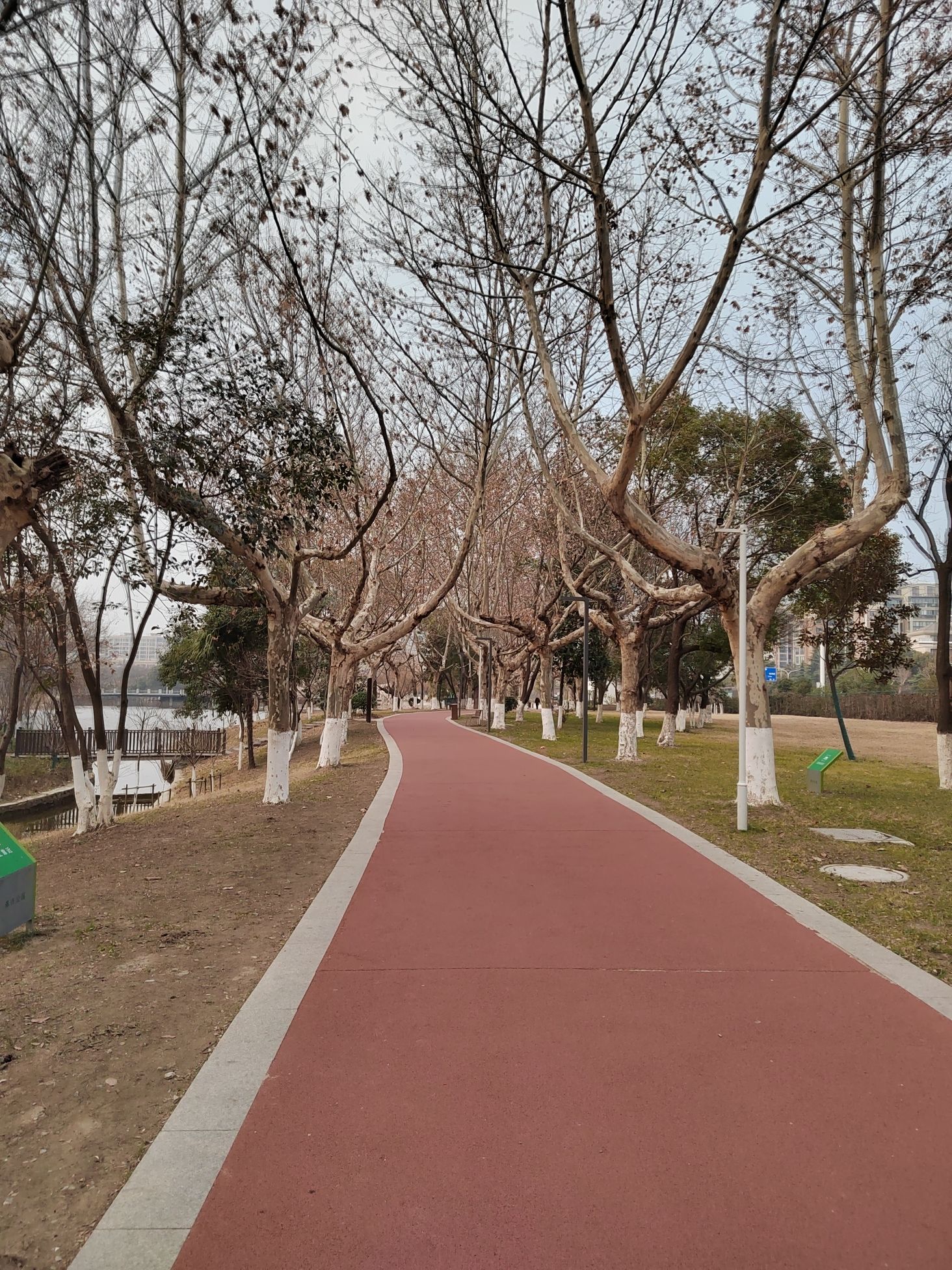 泰兴公园旅行图片
