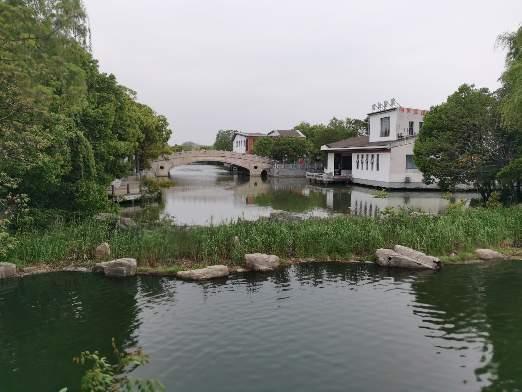 溱湖国家湿地公园旅行图片