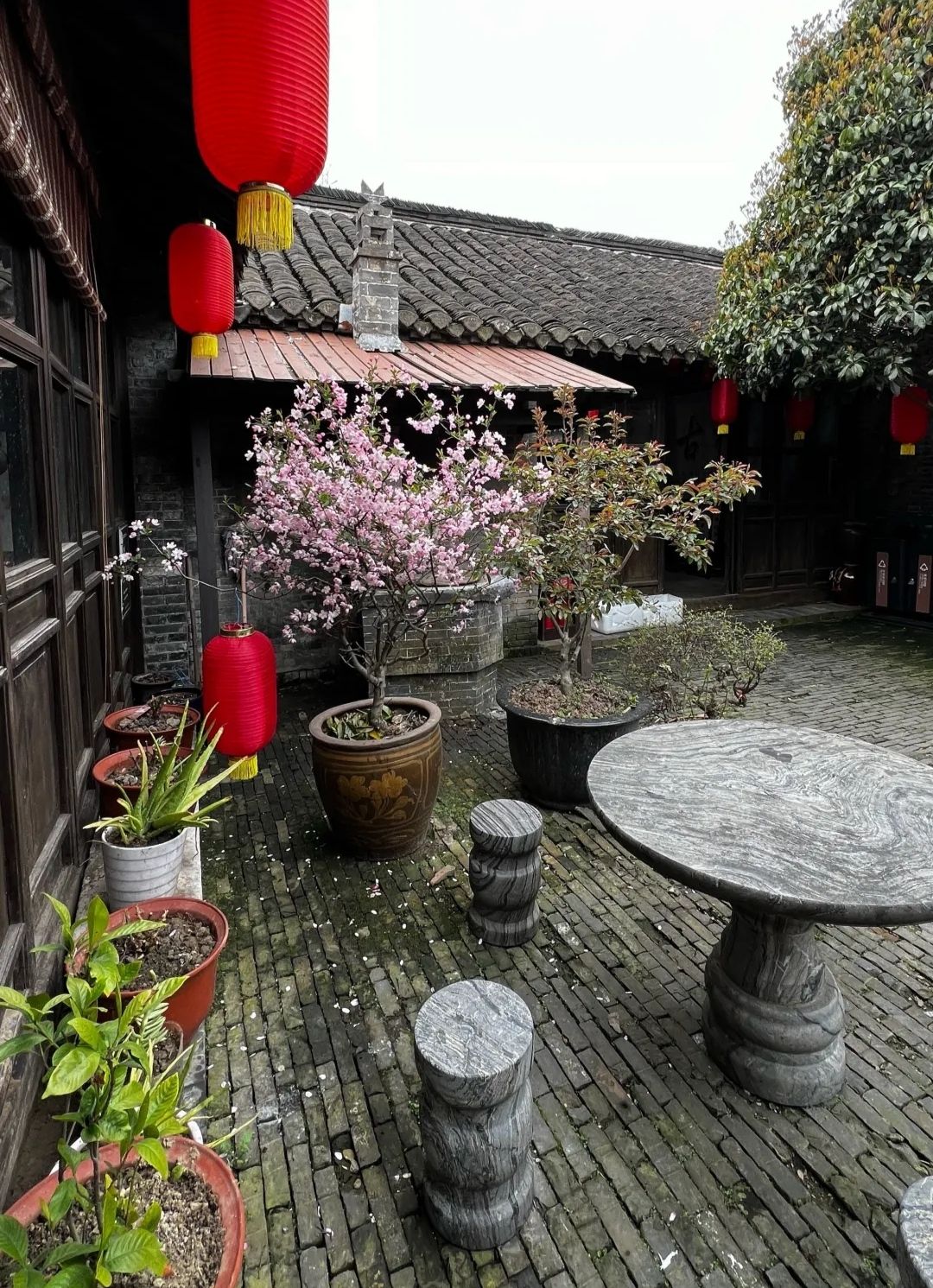 溱潼古镇旅游区旅行图片