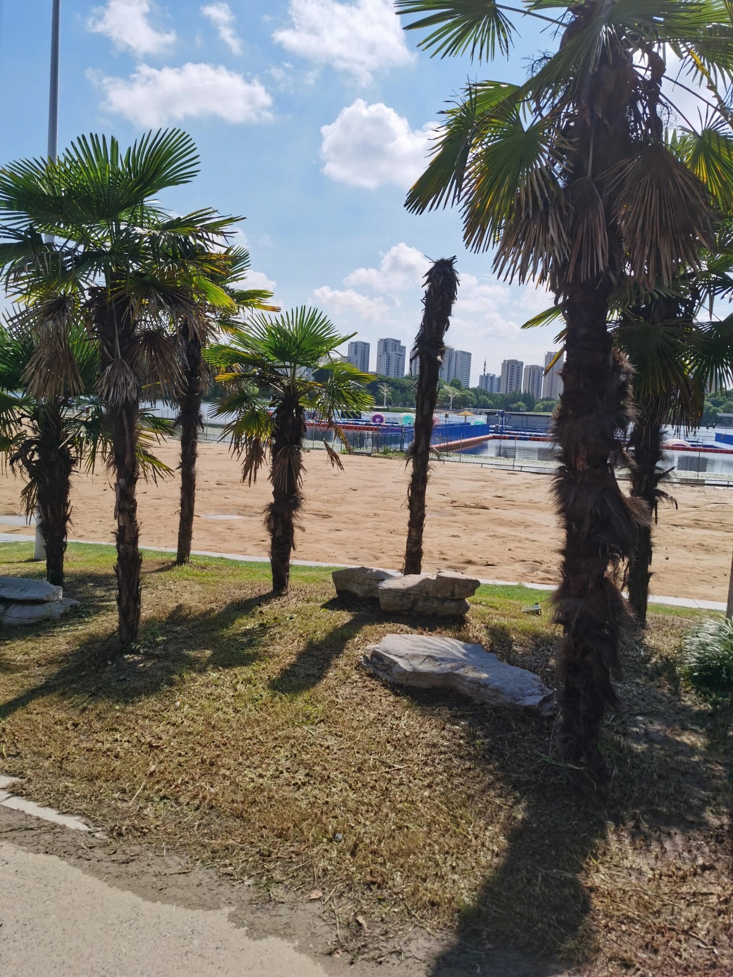 天德湖公园旅行图片