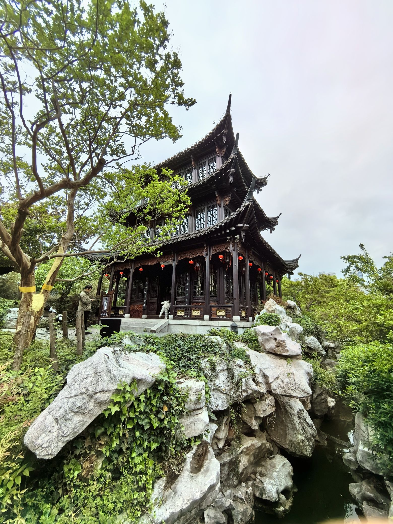 乔园旅行图片