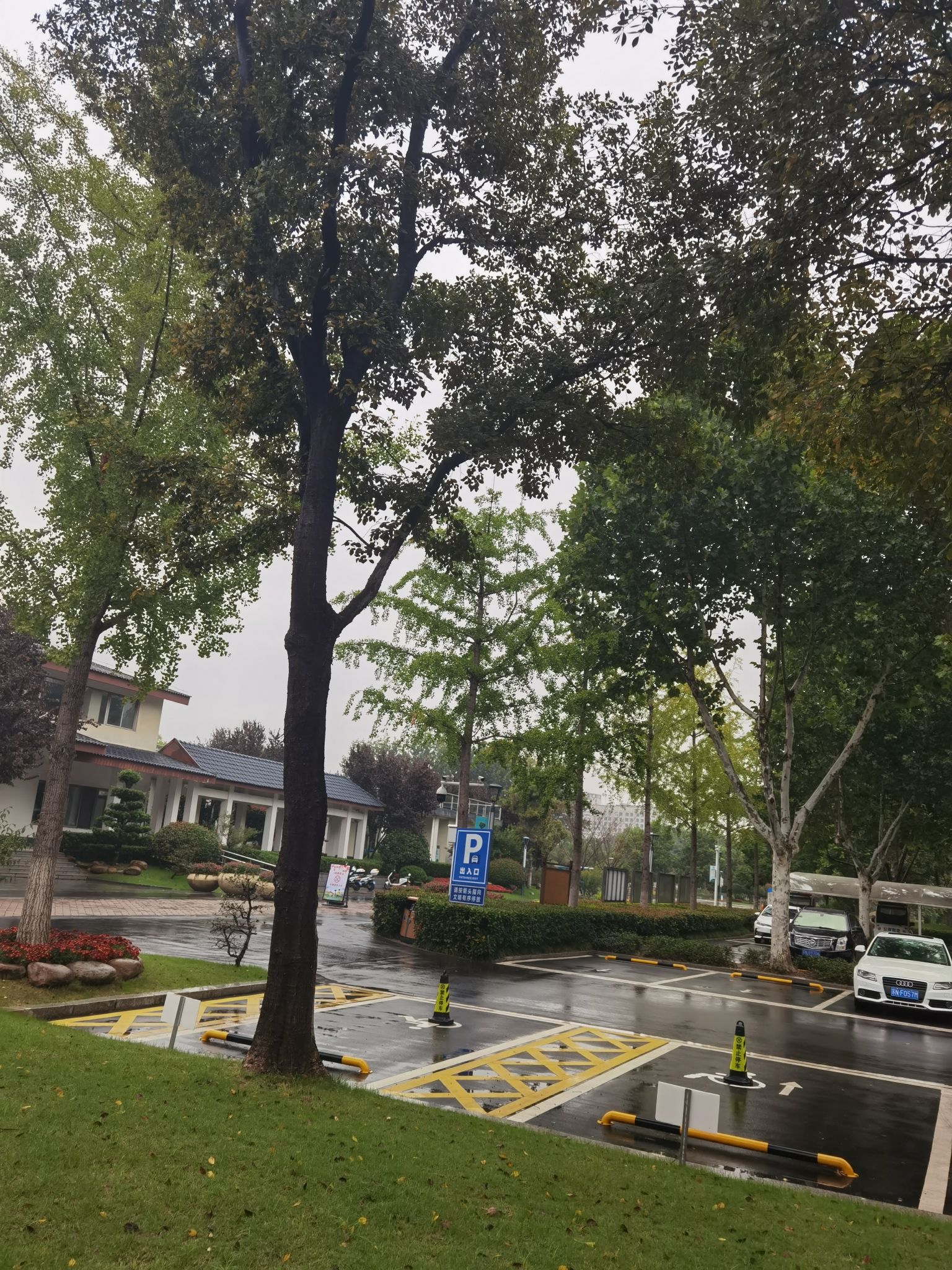 河滨公园旅行图片
