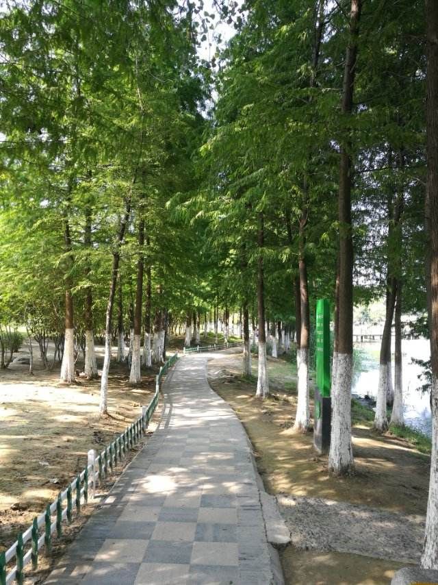 泗阳奥林匹克生态公园