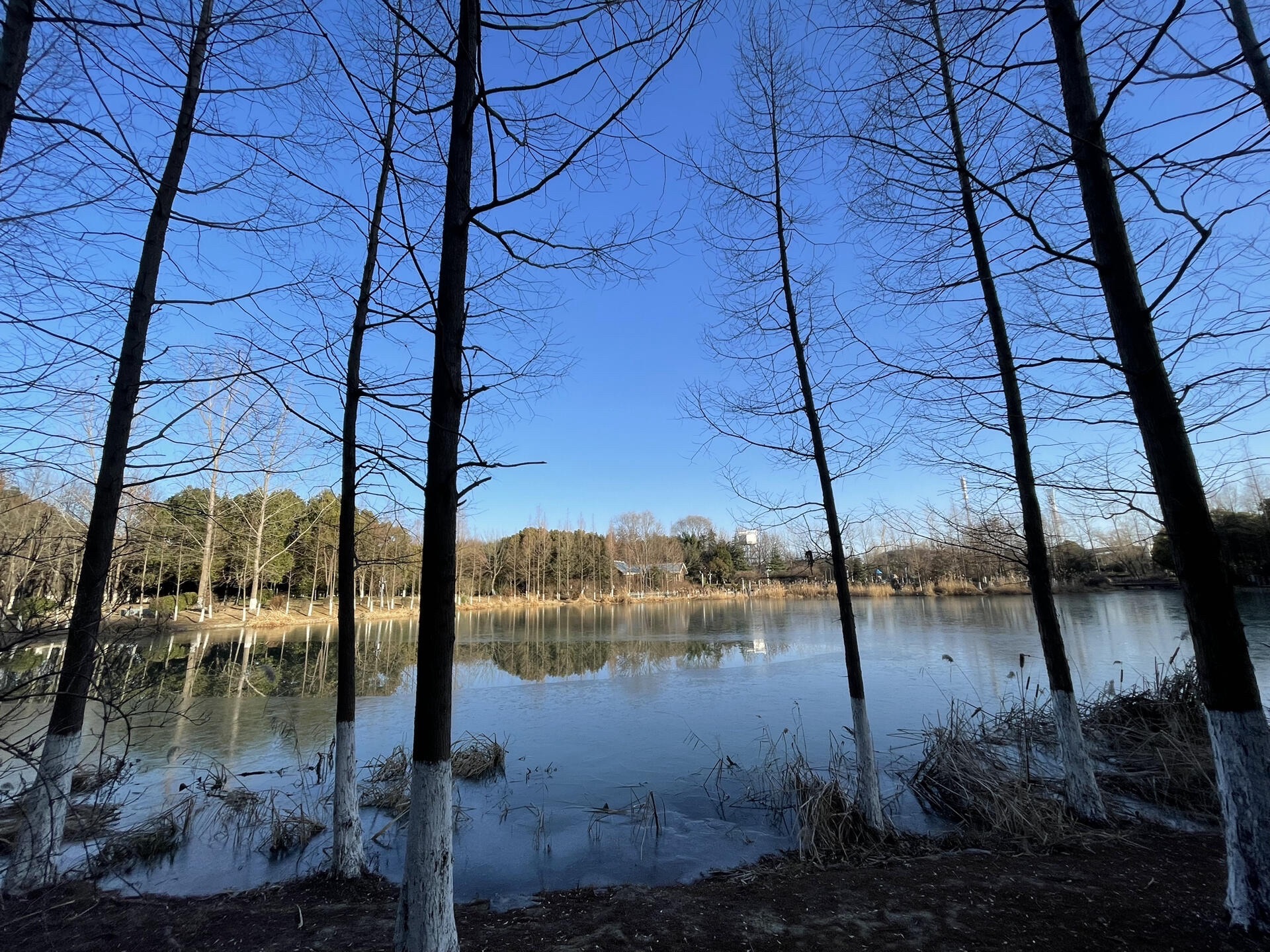 泗阳奥林匹克生态公园旅行图片