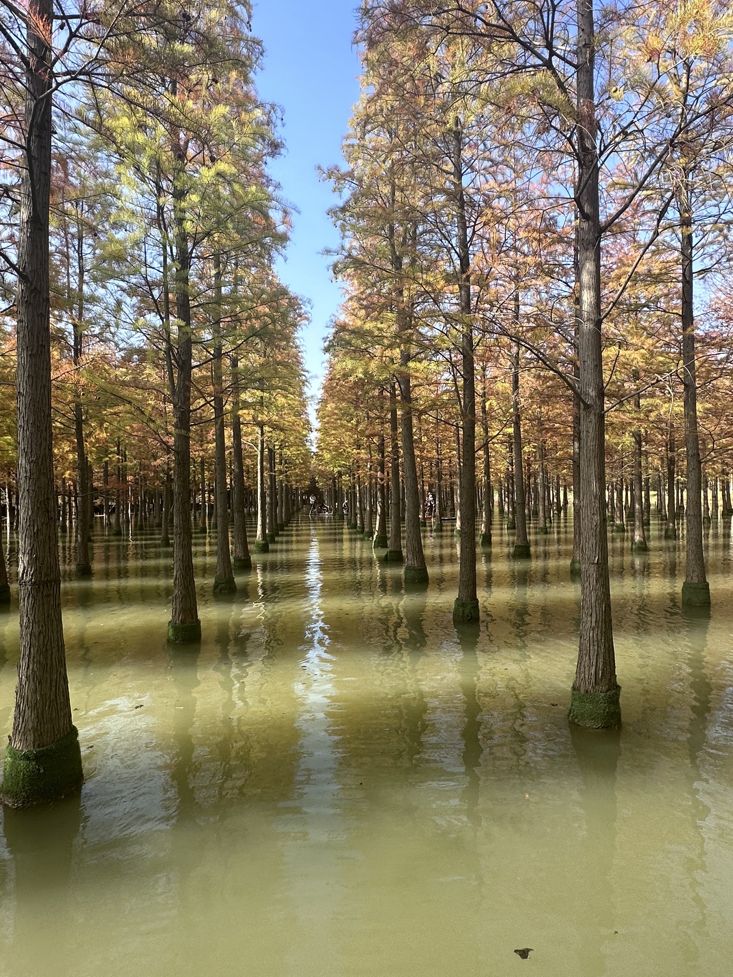 洪泽湖
