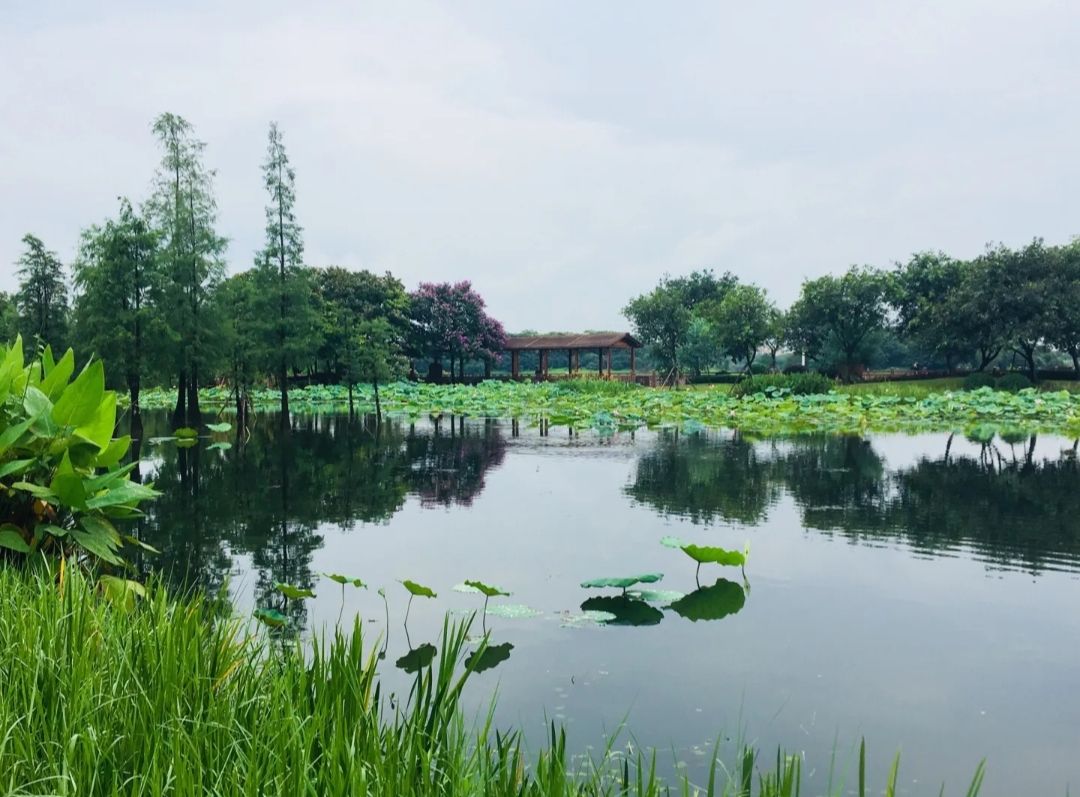 白云湖景区