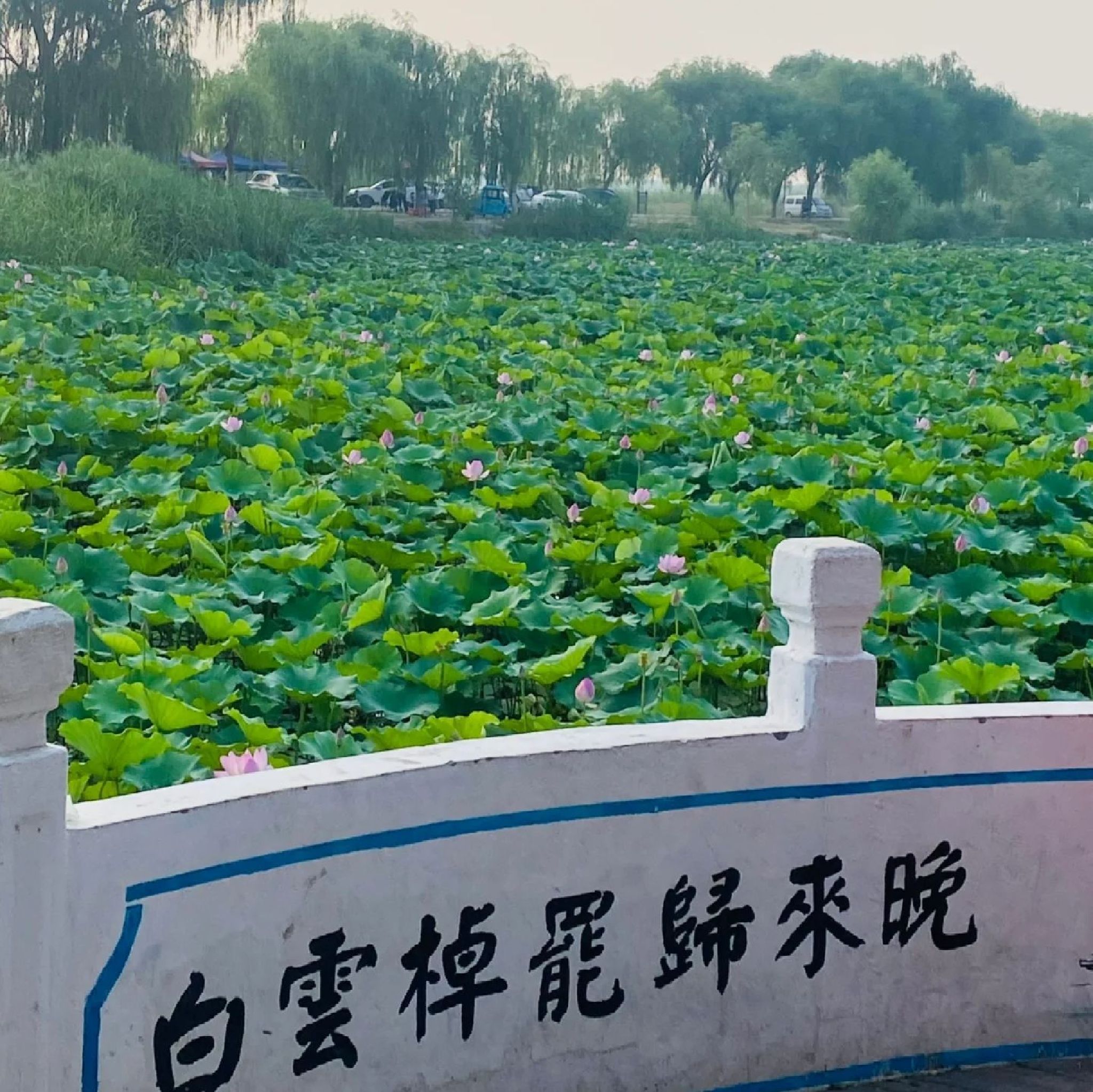 白云湖景区旅行图片