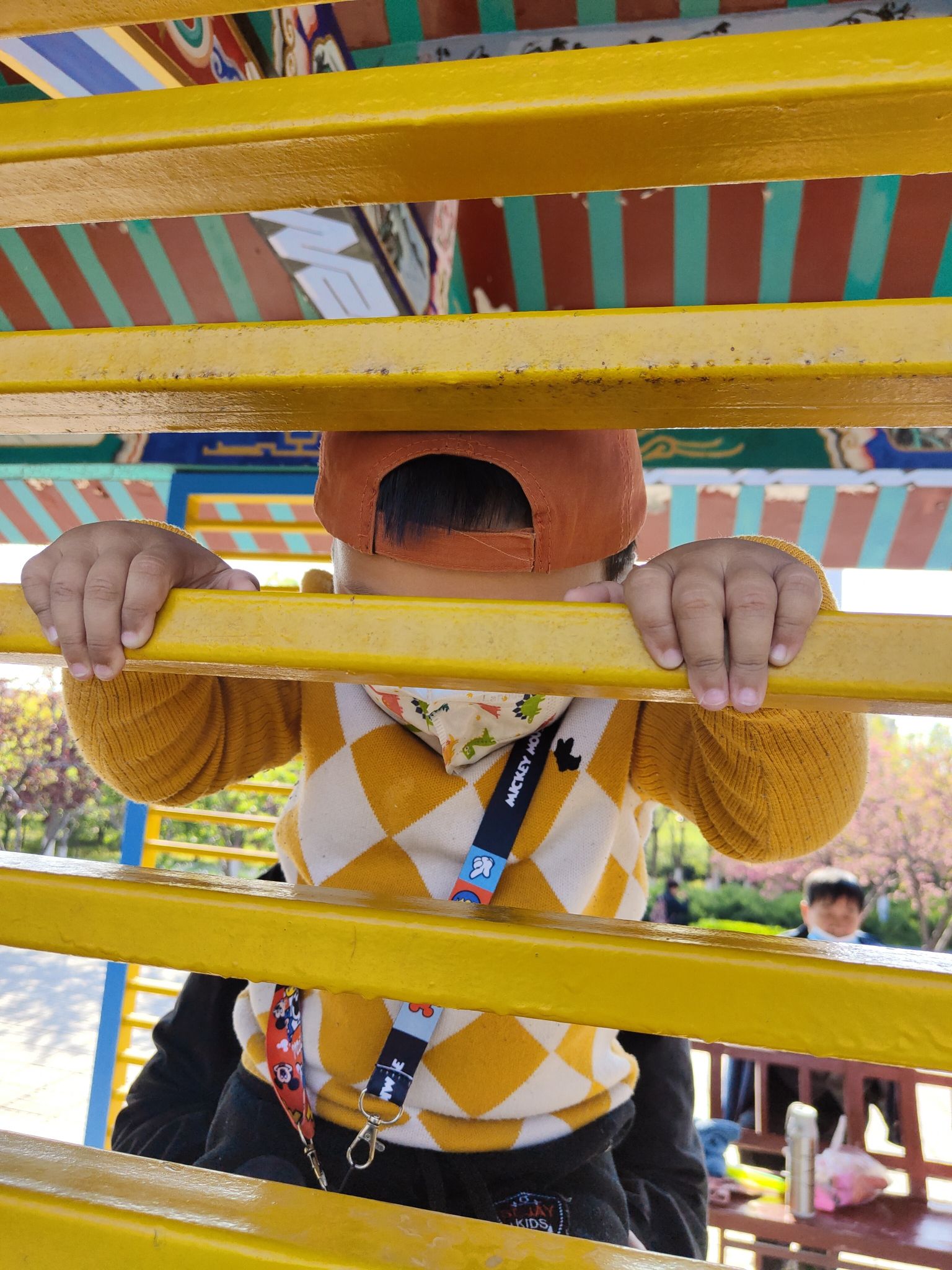 桃花山公园旅行图片