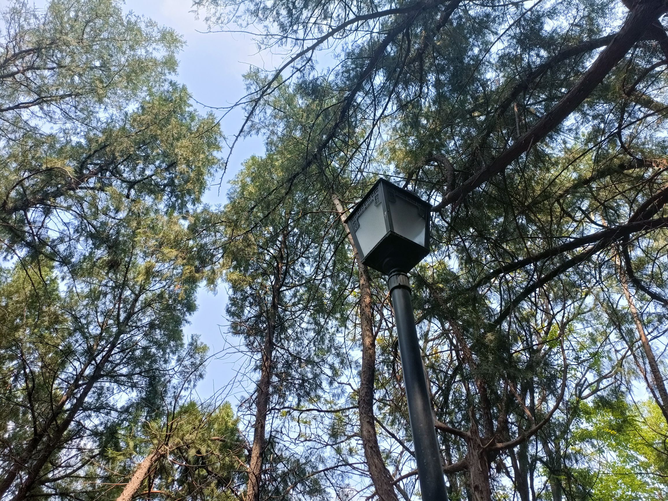 英雄山风景区旅行图片
