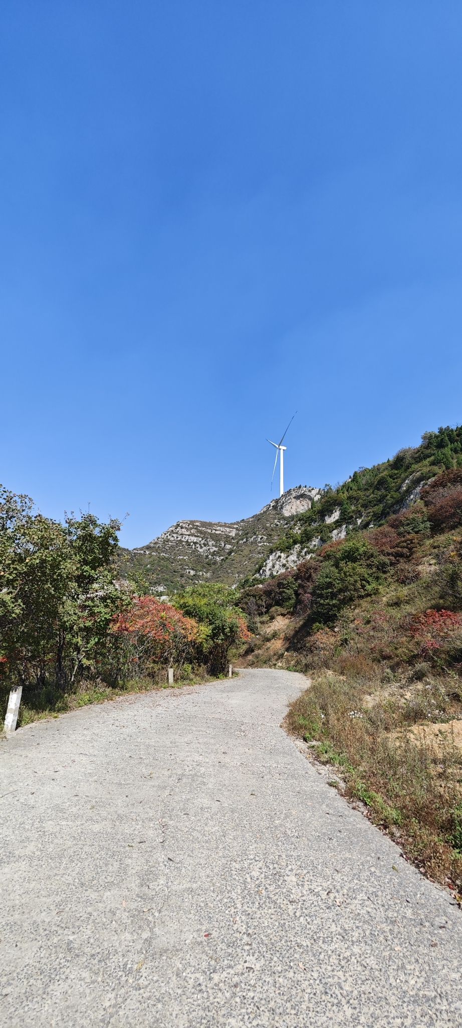 九顶山观光农业园