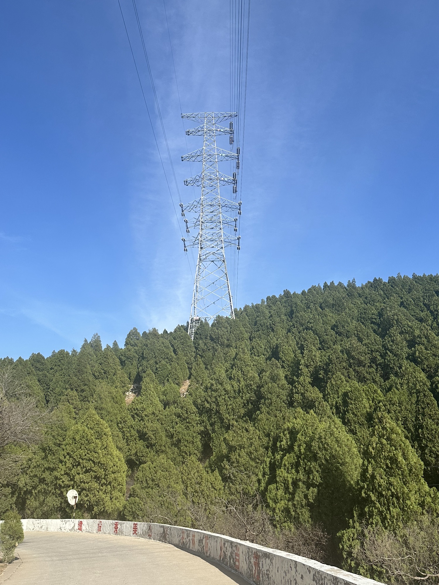 胡山省级森林公园旅行图片