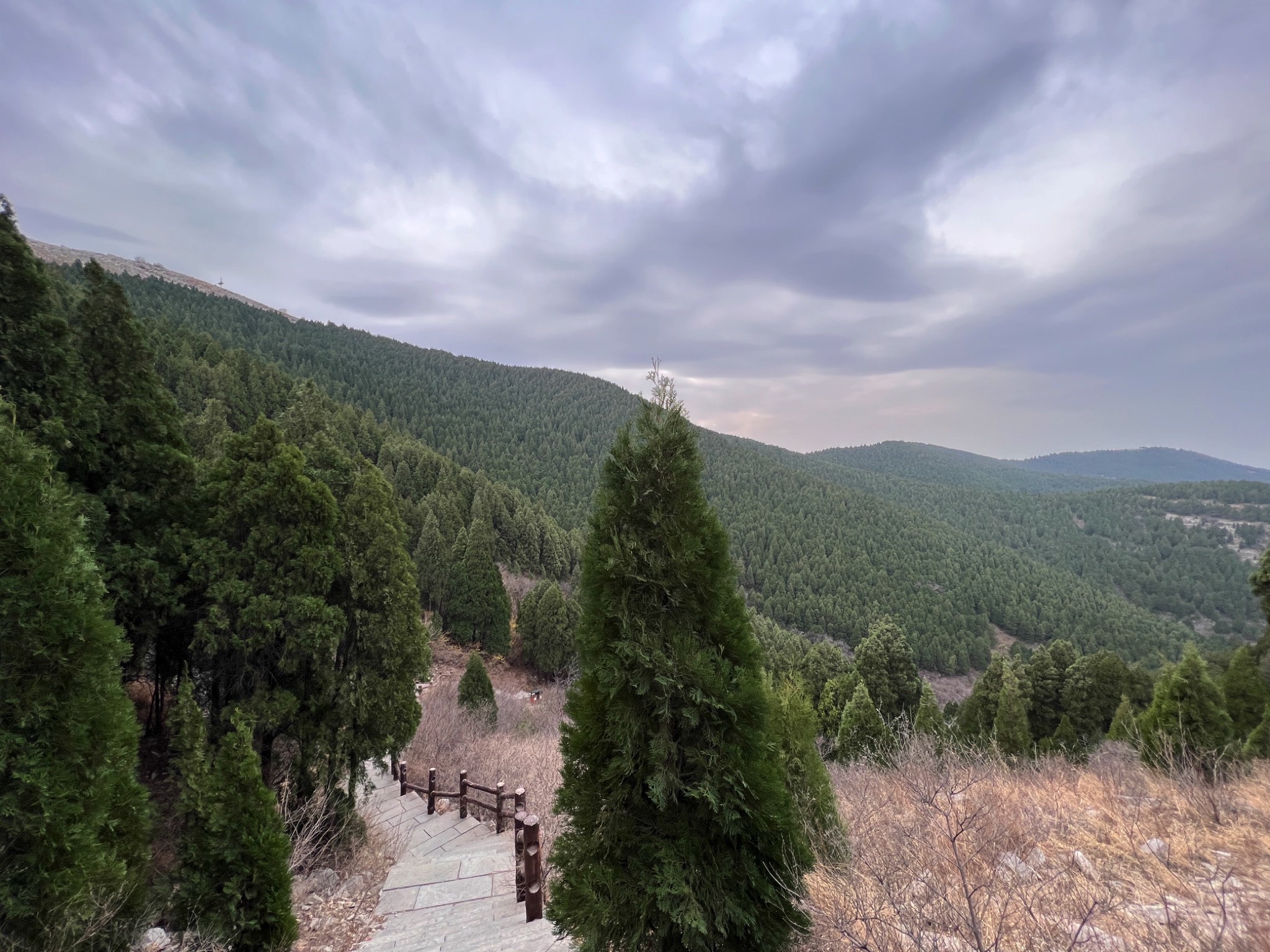 胡山省级森林公园旅行图片