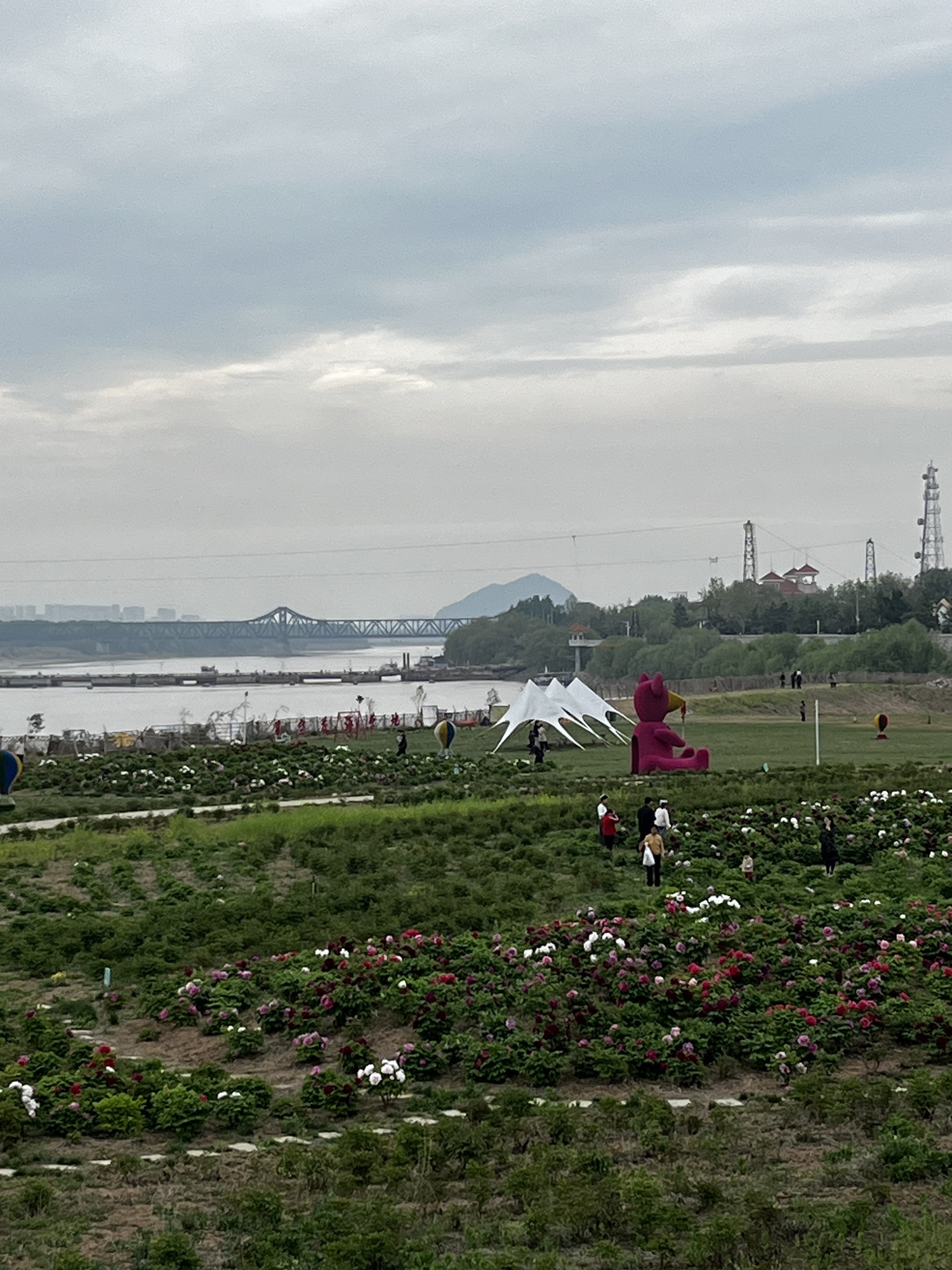济南百里黄河风景区