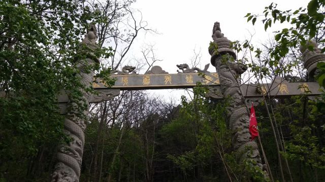 蟠龙山森林公园