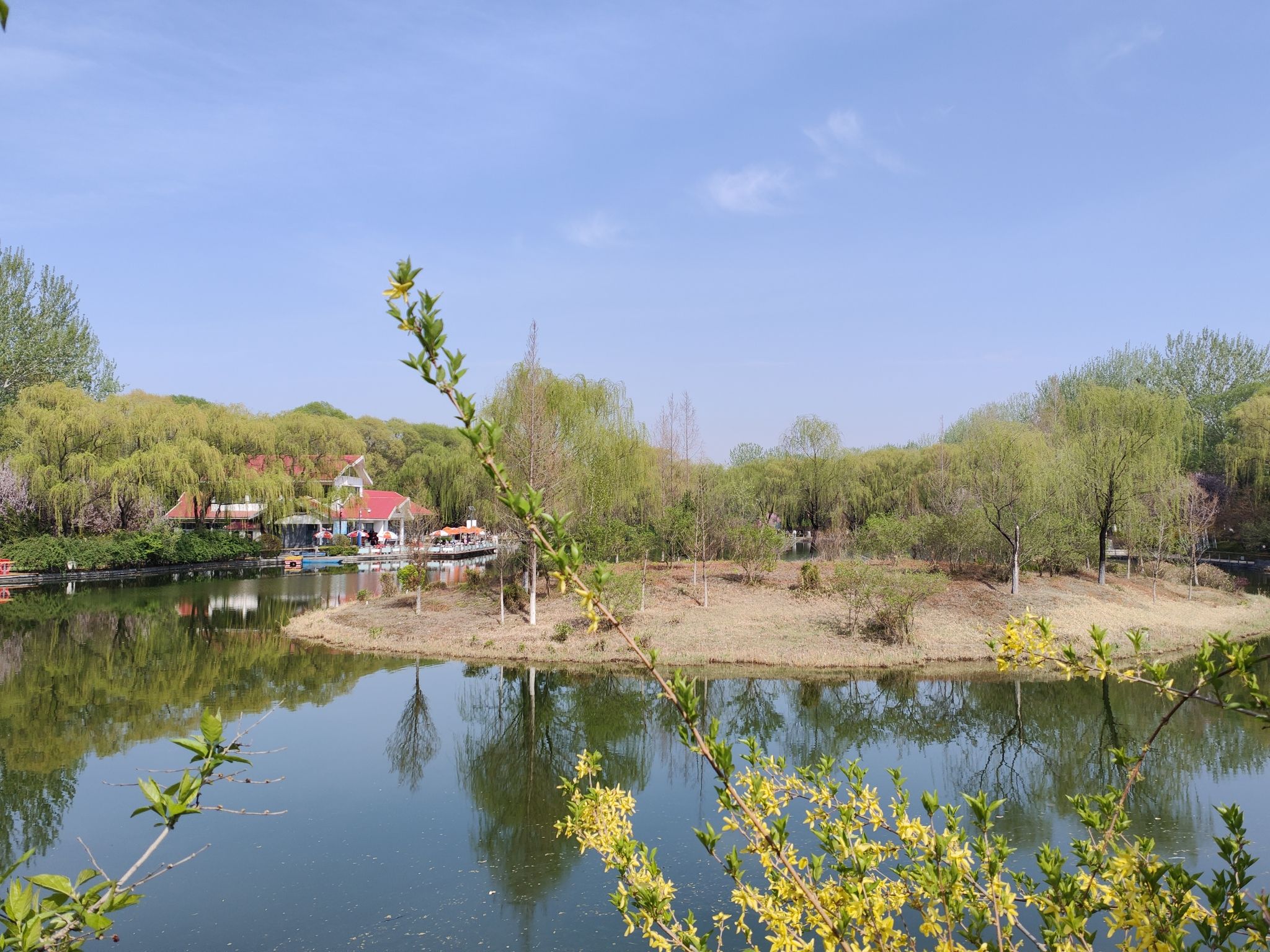 济南植物园旅行图片