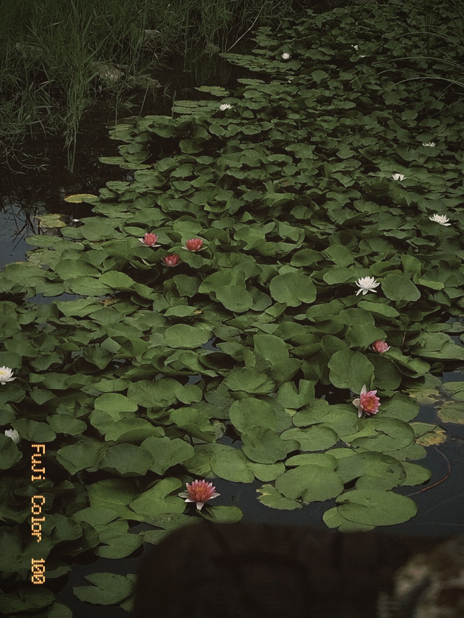 澄波湖风景区