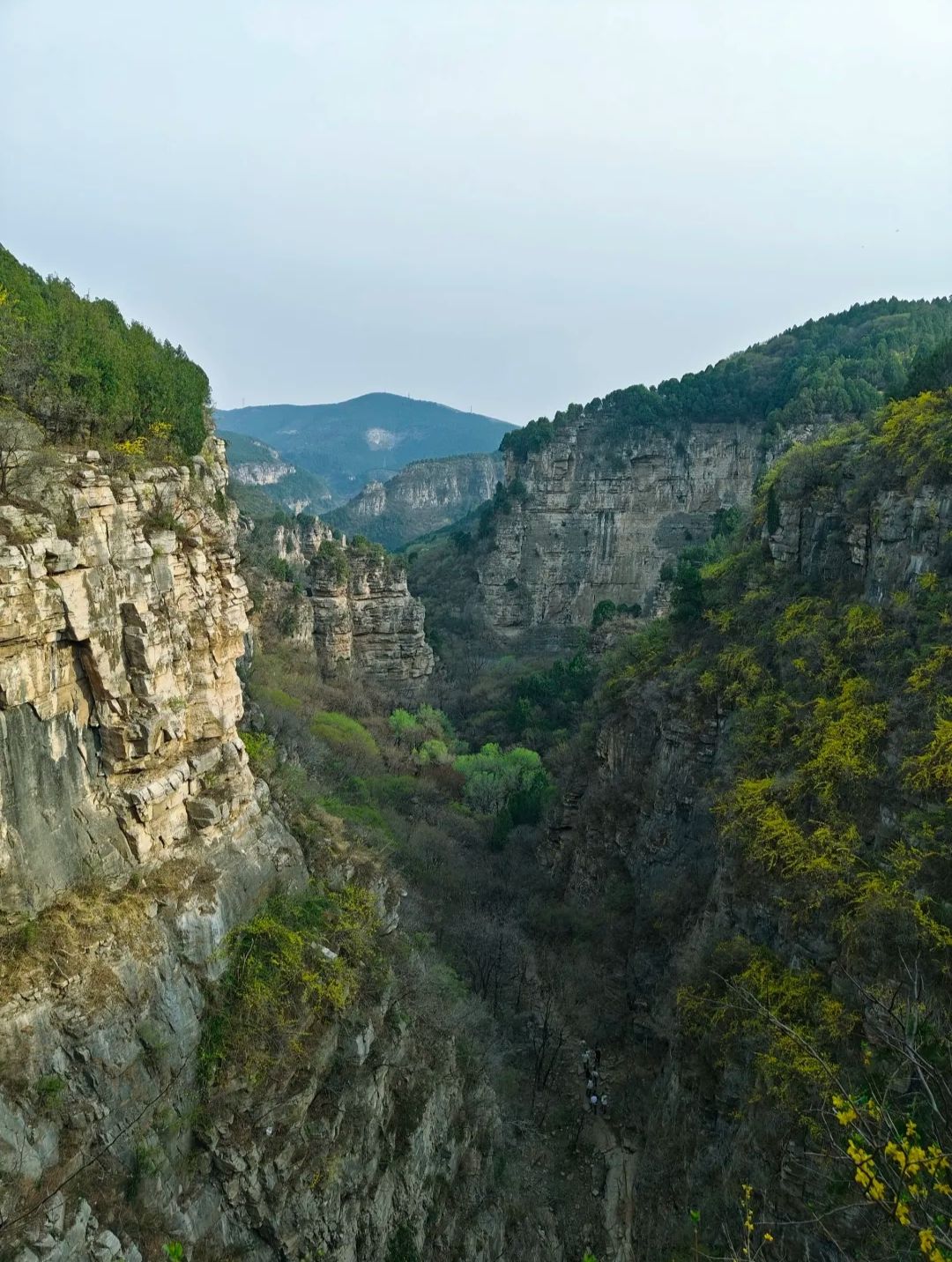 龙洞风景区旅行图片