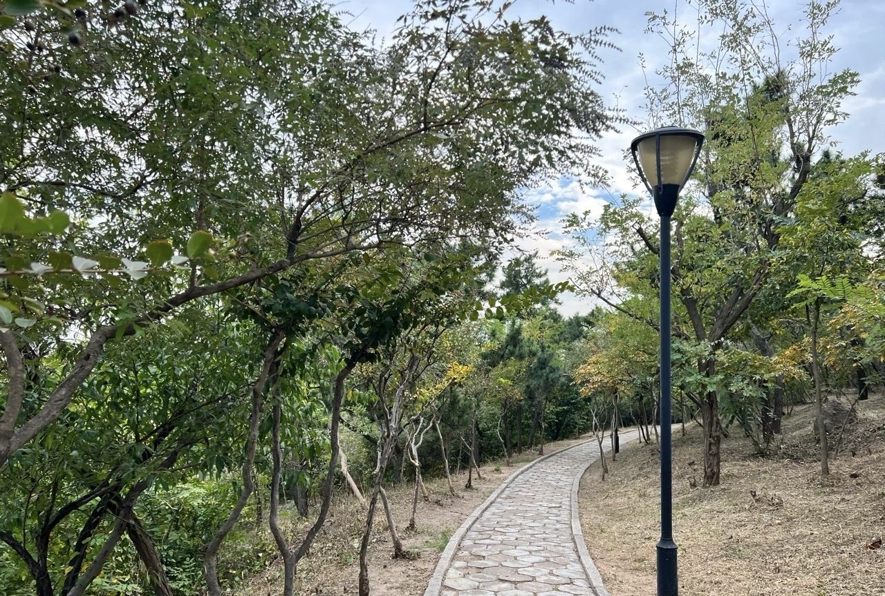 烟墩山公园旅行图片