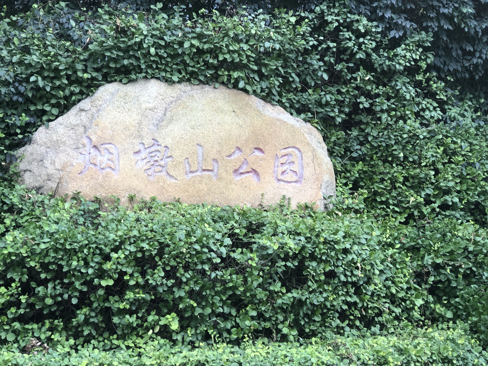烟墩山公园旅行图片
