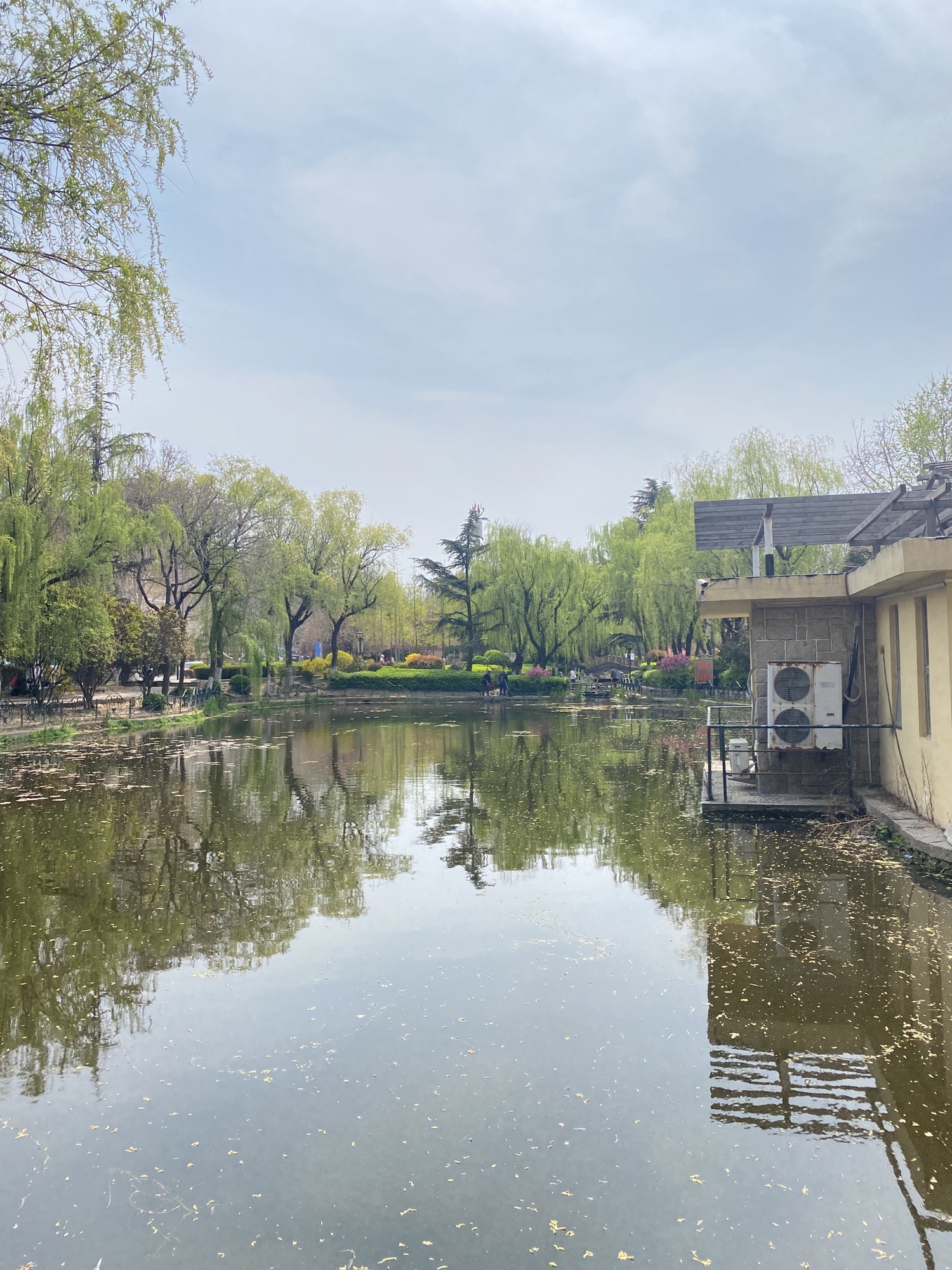 青岛沧口公园旅行图片