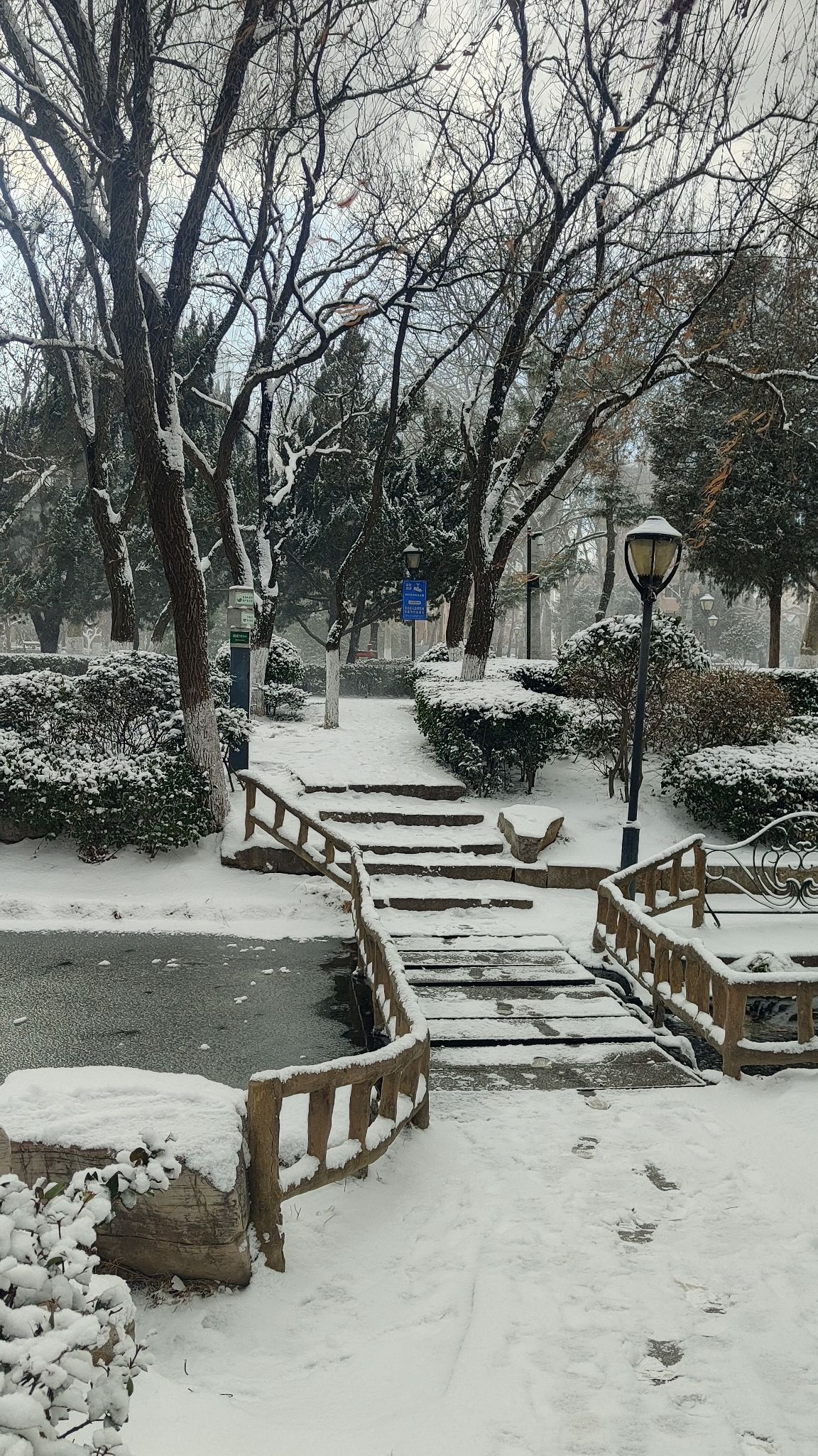 青岛沧口公园旅行图片