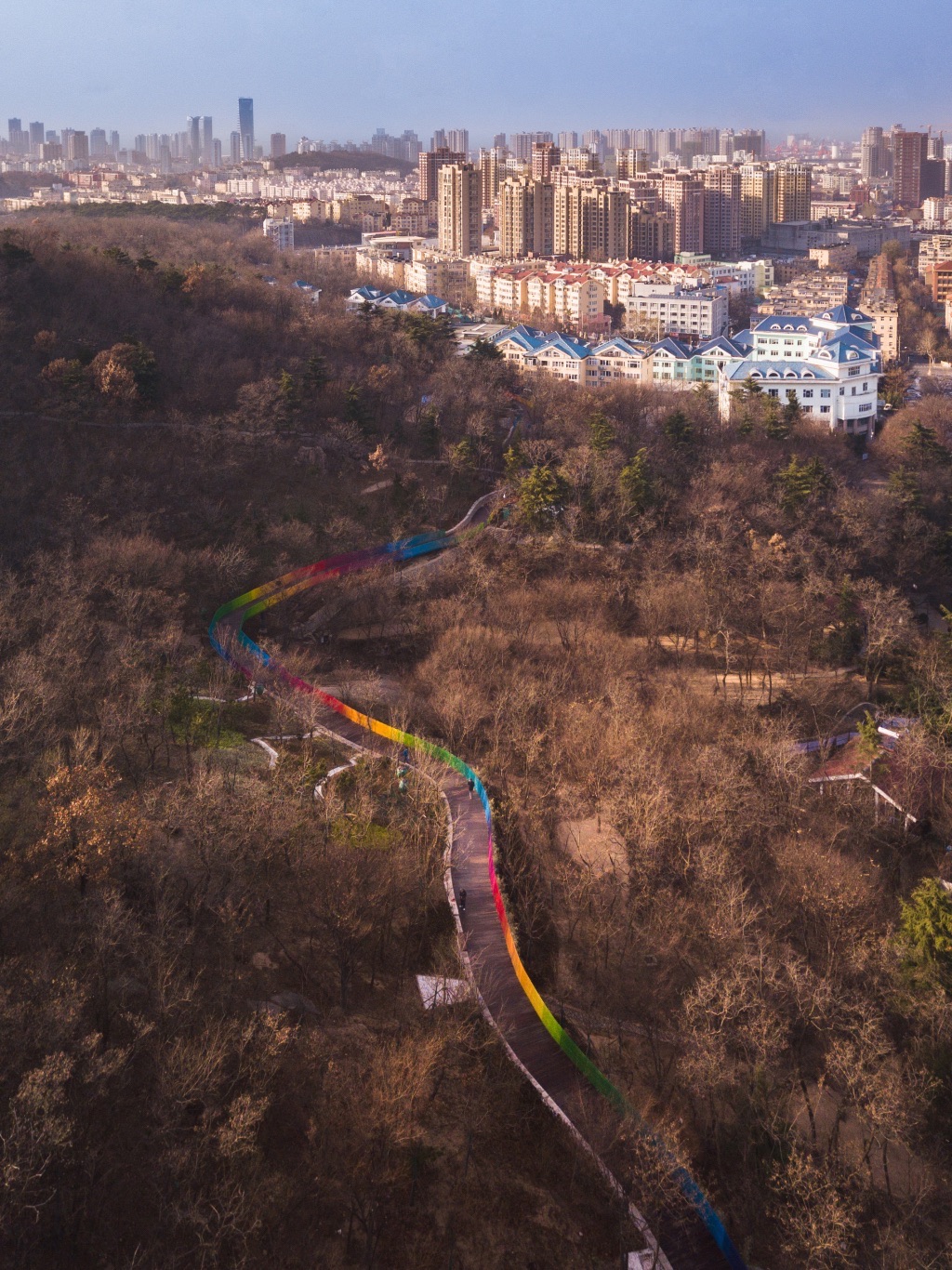 榉林公园旅行图片