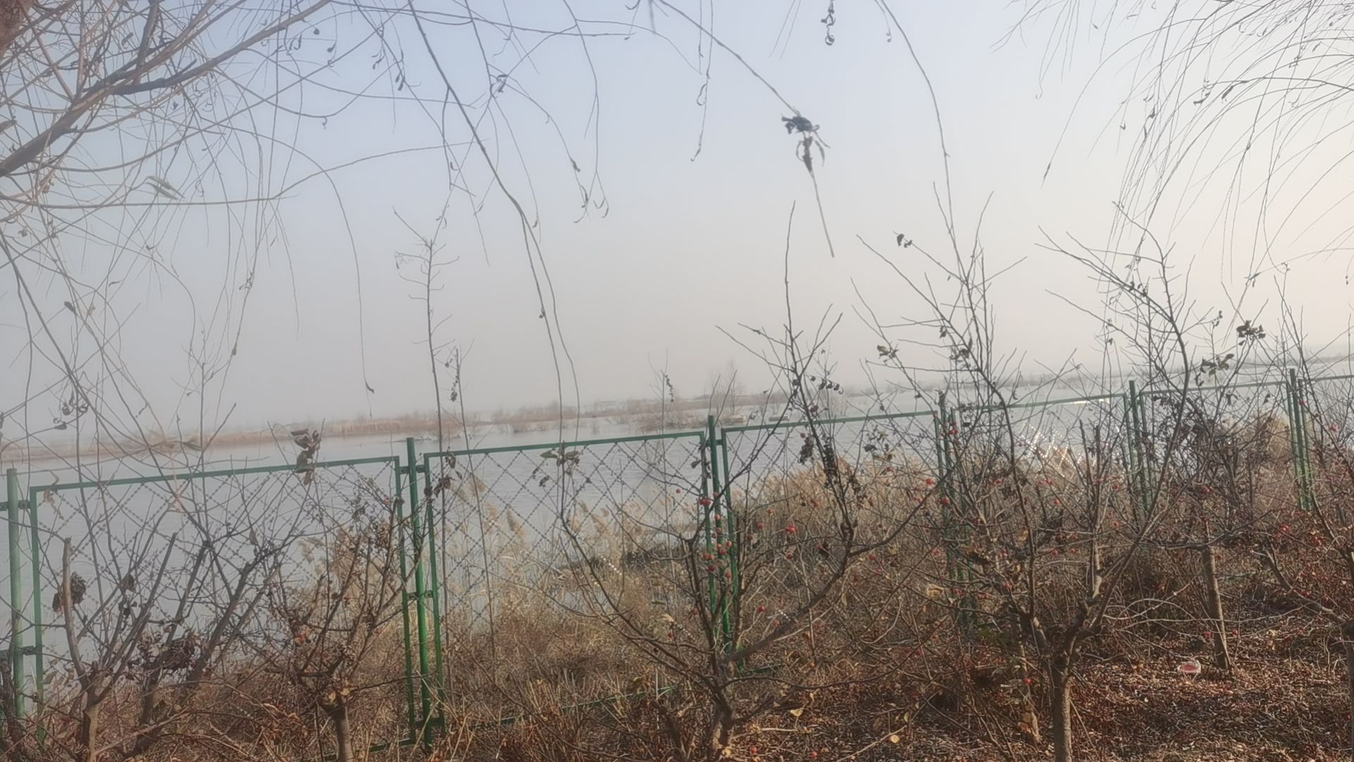 南岚遗址旅行图片