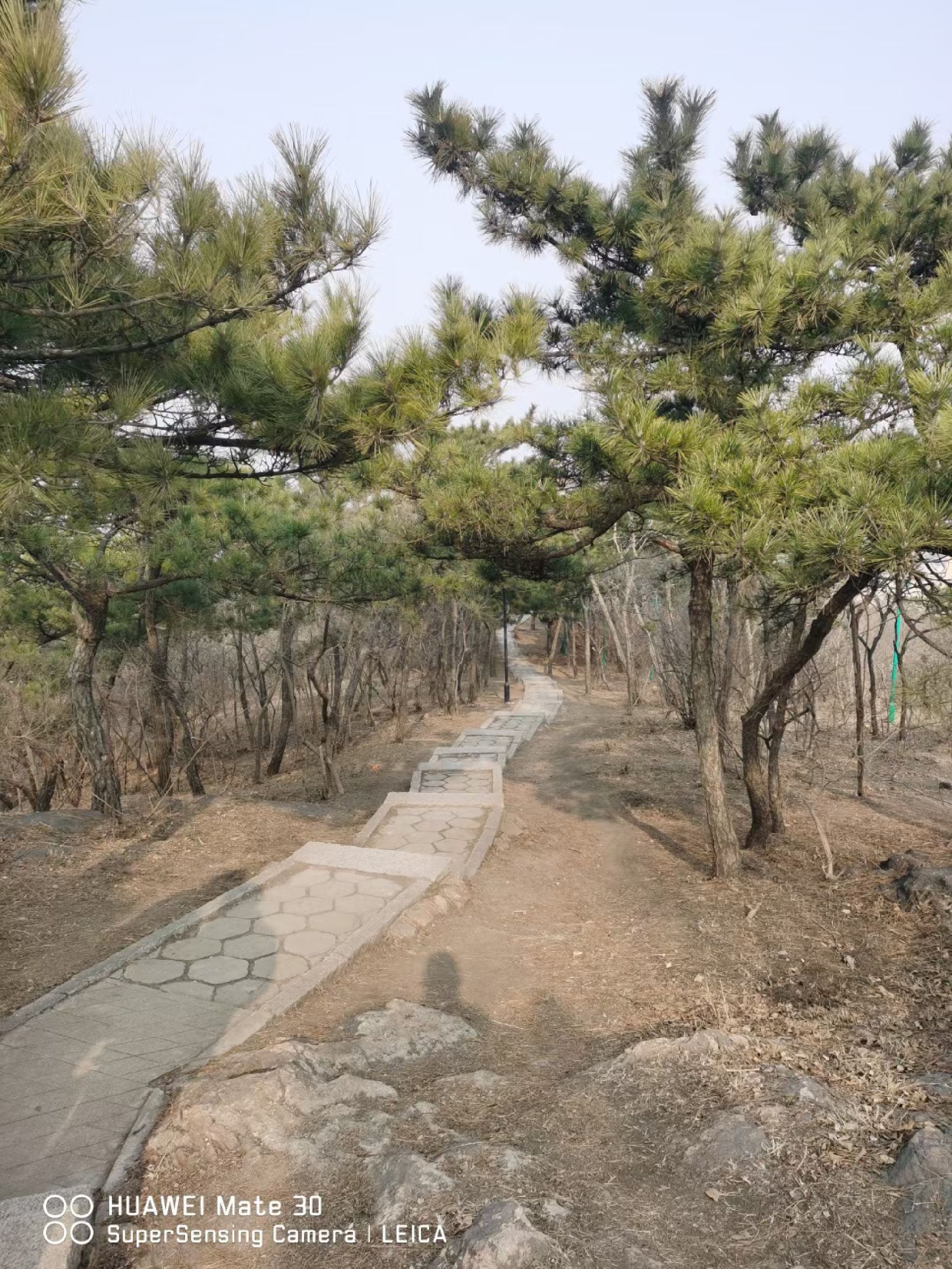 楼山公园