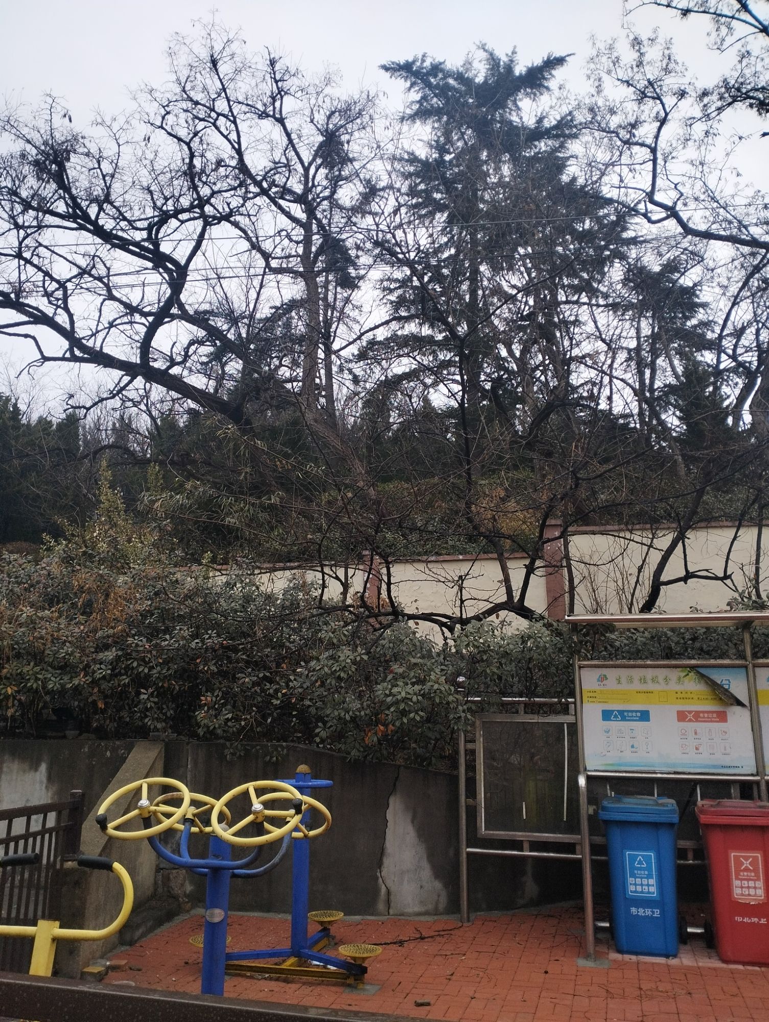 南山公园