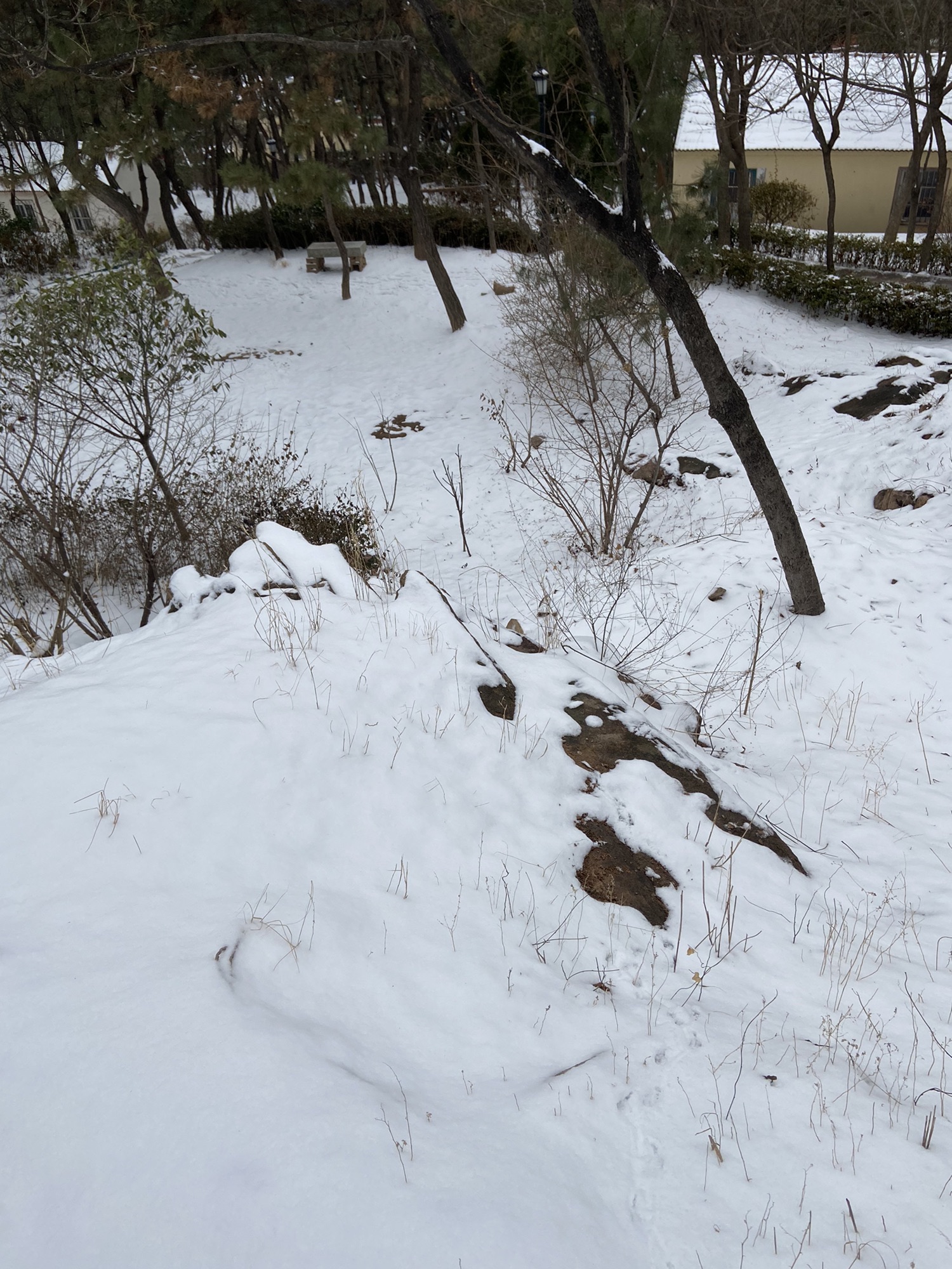 辛家庄北山体育文化公园