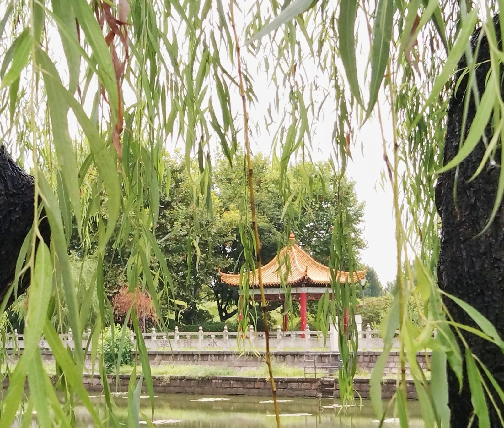 观海阁旅行图片