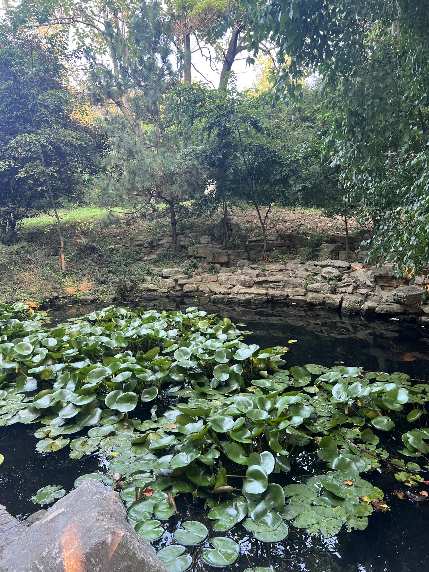 青岛太平角公园旅行图片