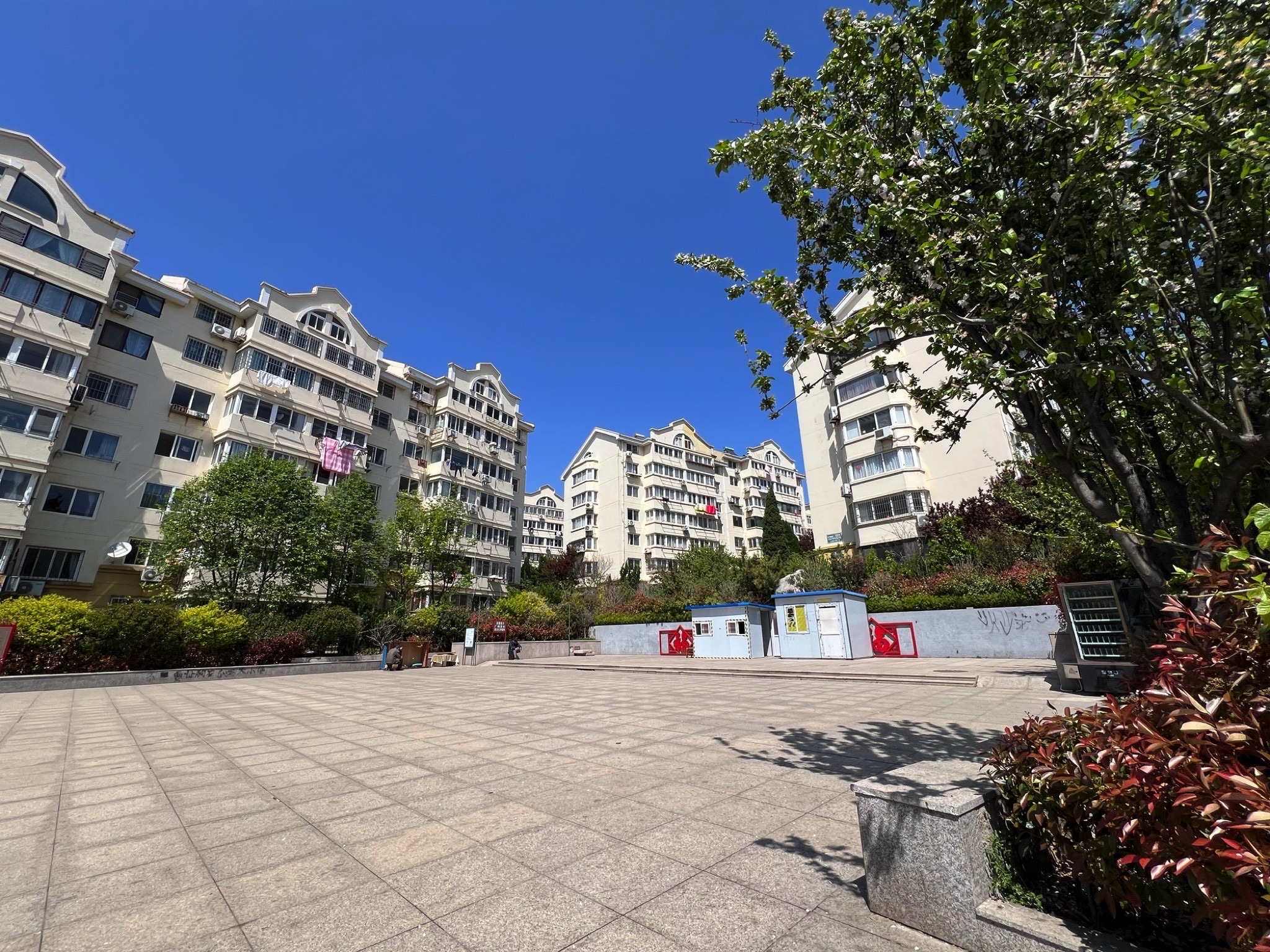 云溪文化广场旅行图片