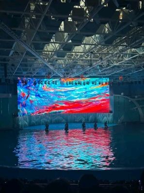 海合安·青岛极地海洋公园旅行图片