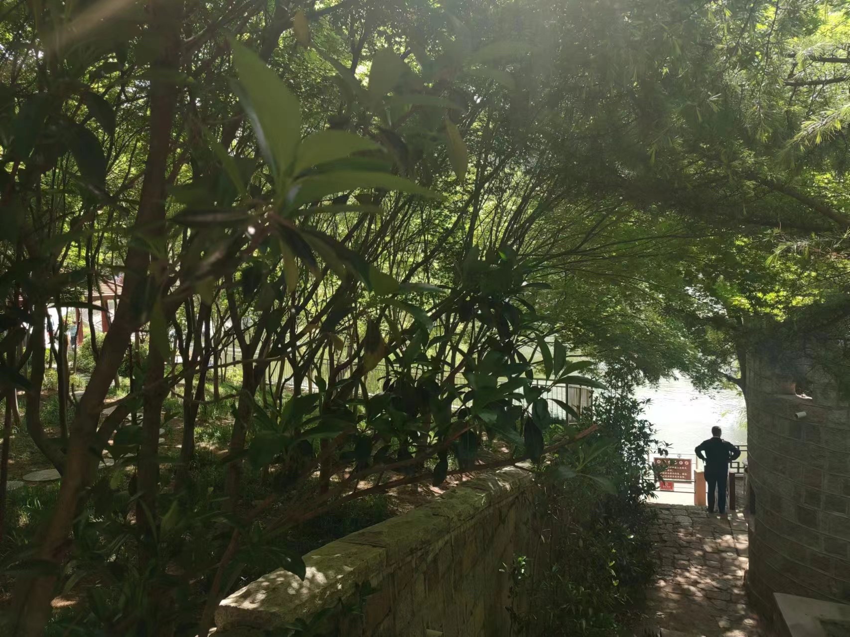 青岛北岭山森林公园
