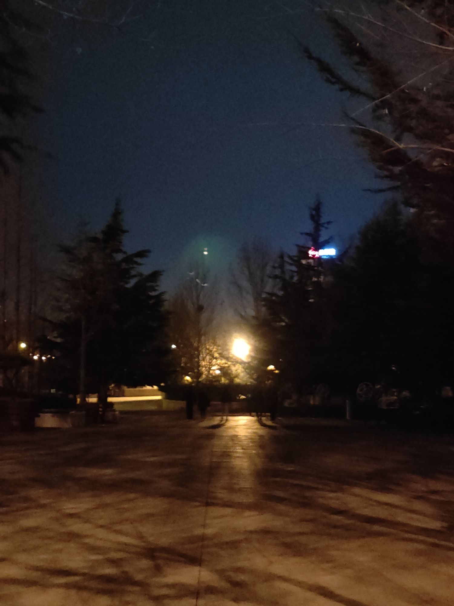 李村河公园