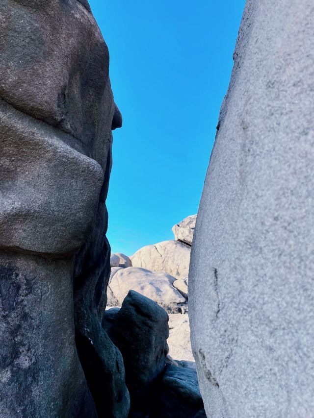 浮山森林公园