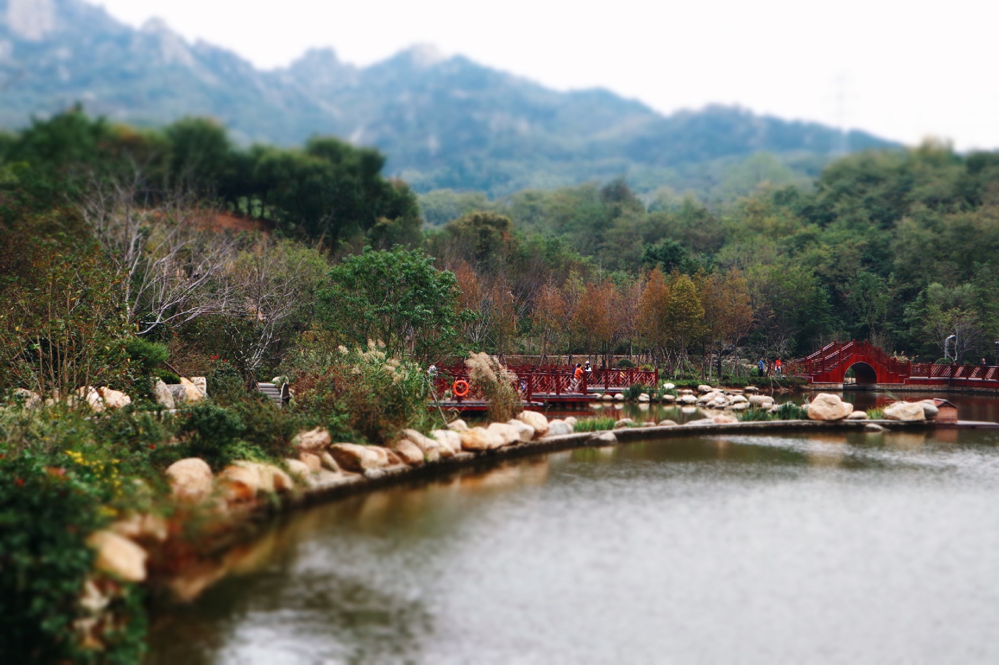 浮山森林公园旅行图片