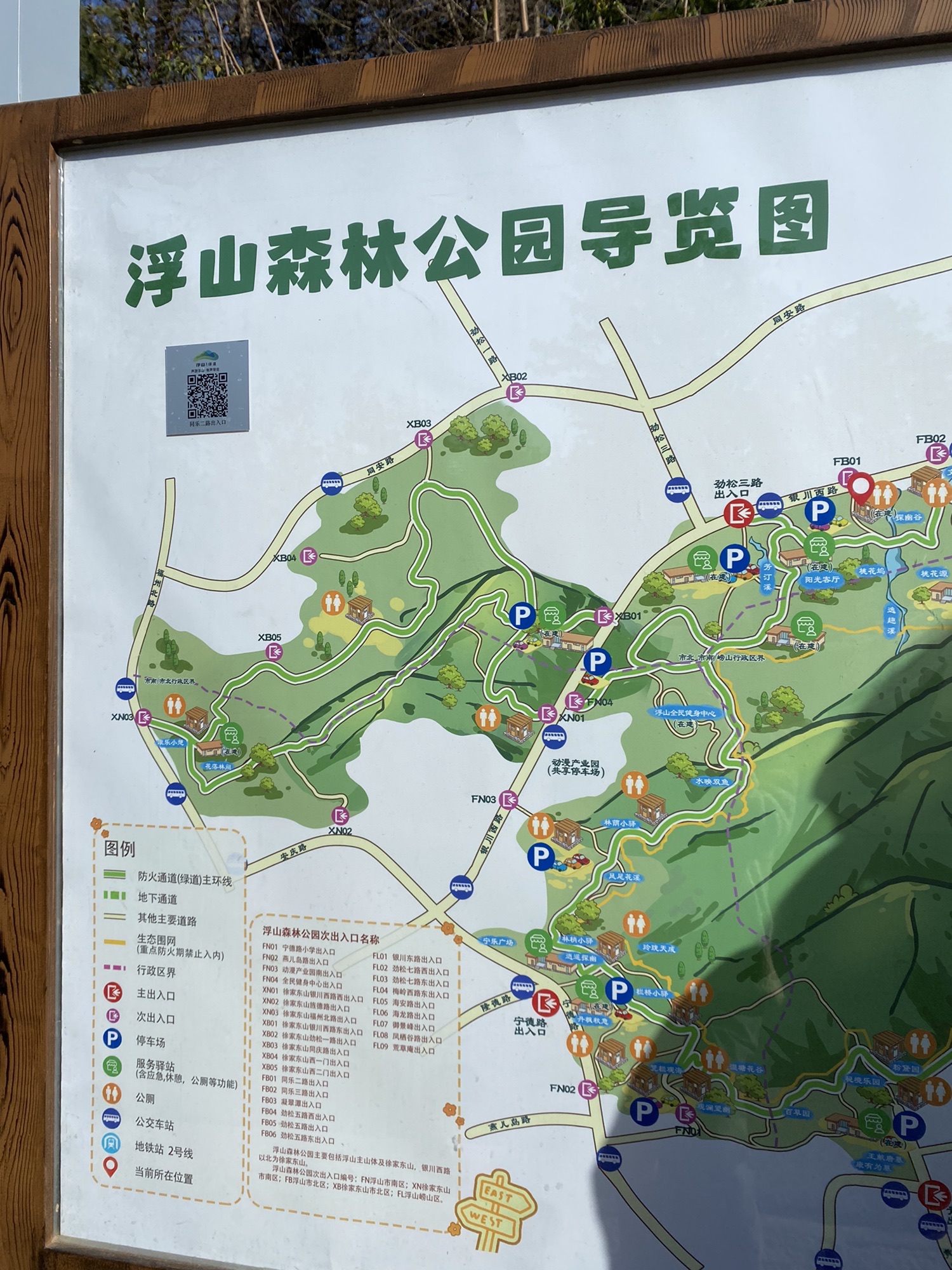 浮山森林公园旅行图片
