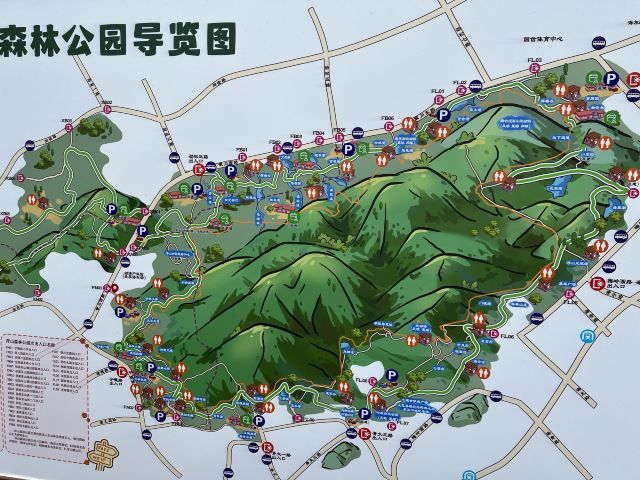 浮山森林公园旅行图片
