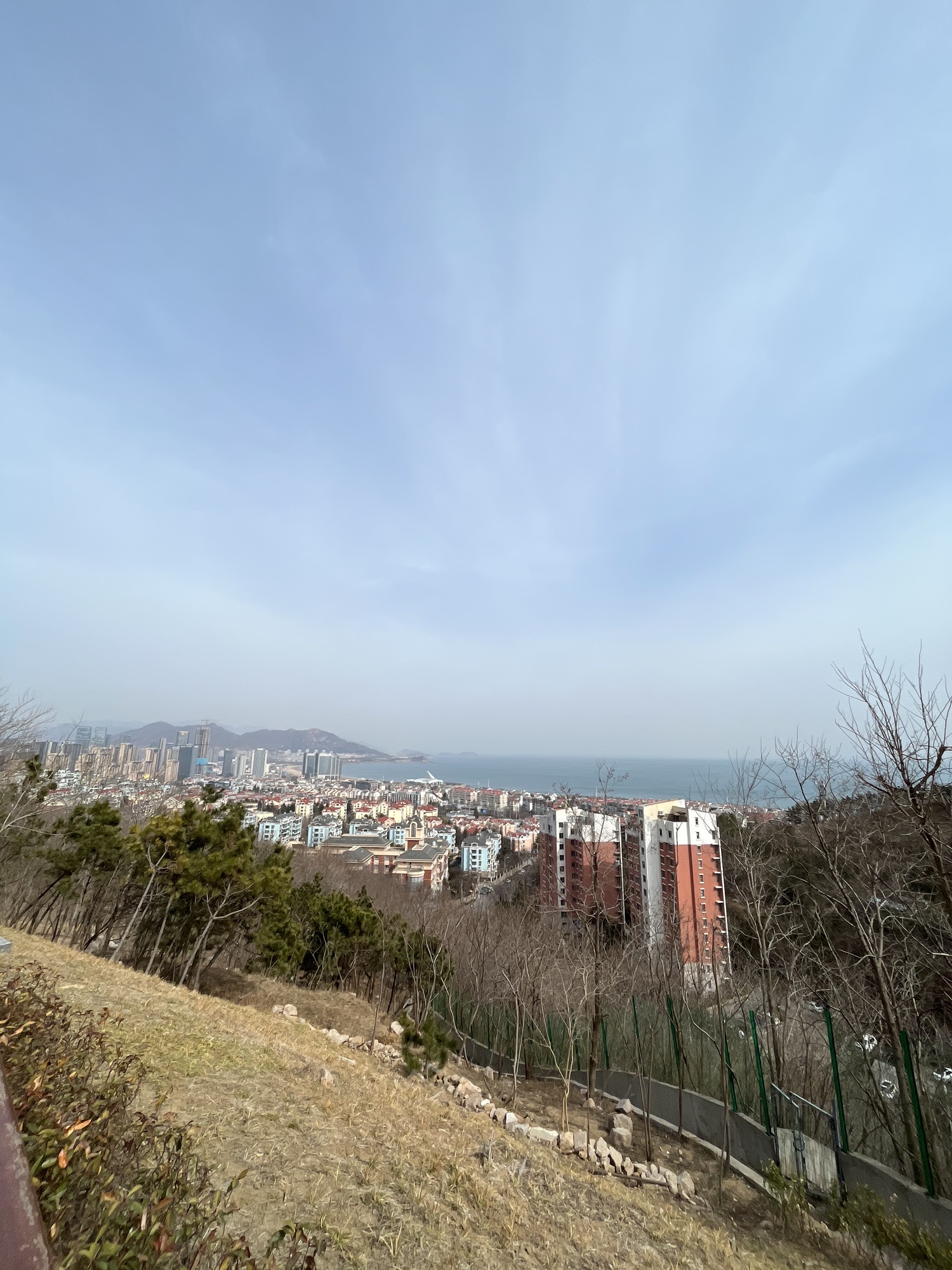 浮山森林公园旅行图片
